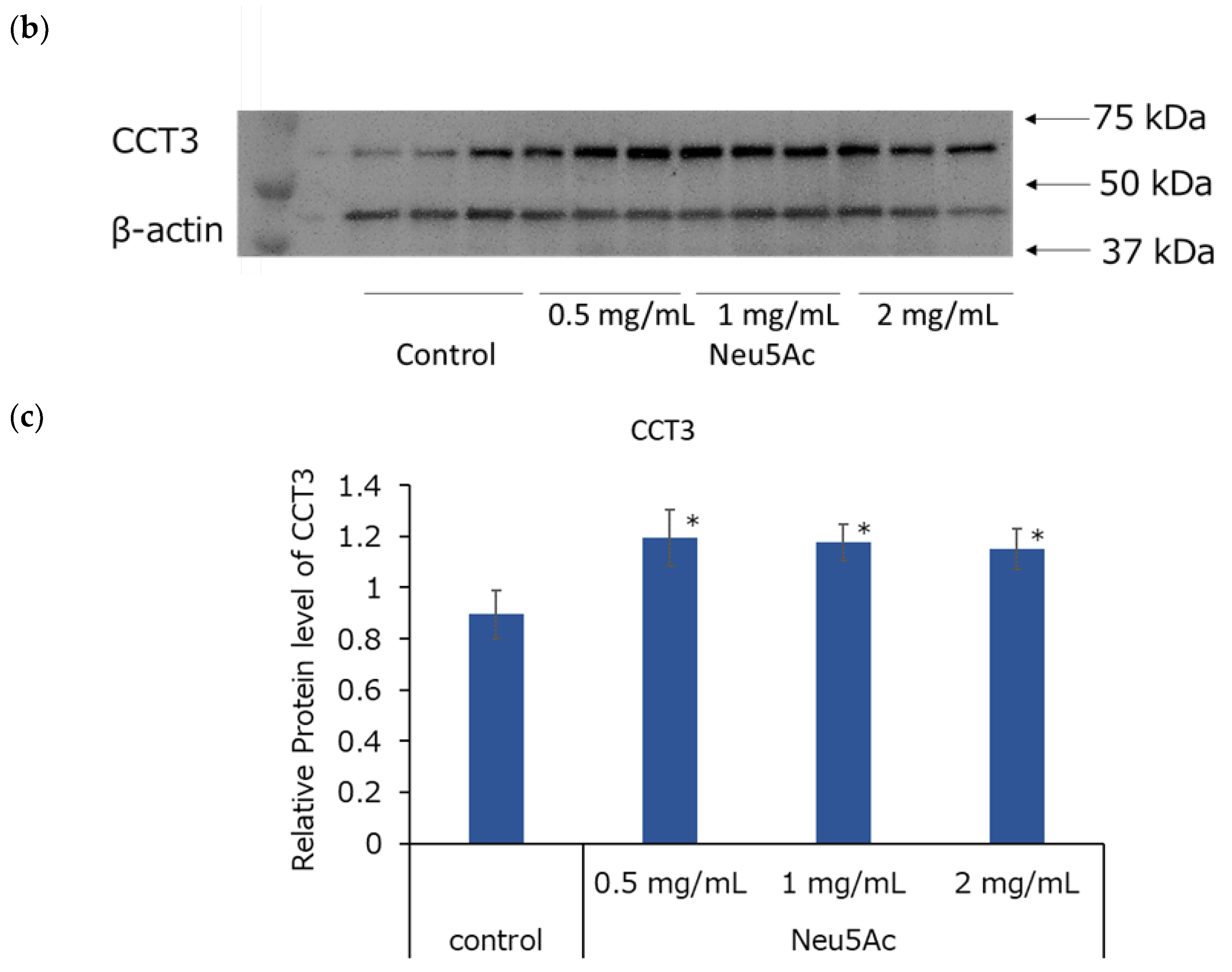 Cosmetics 11 00082 g008b