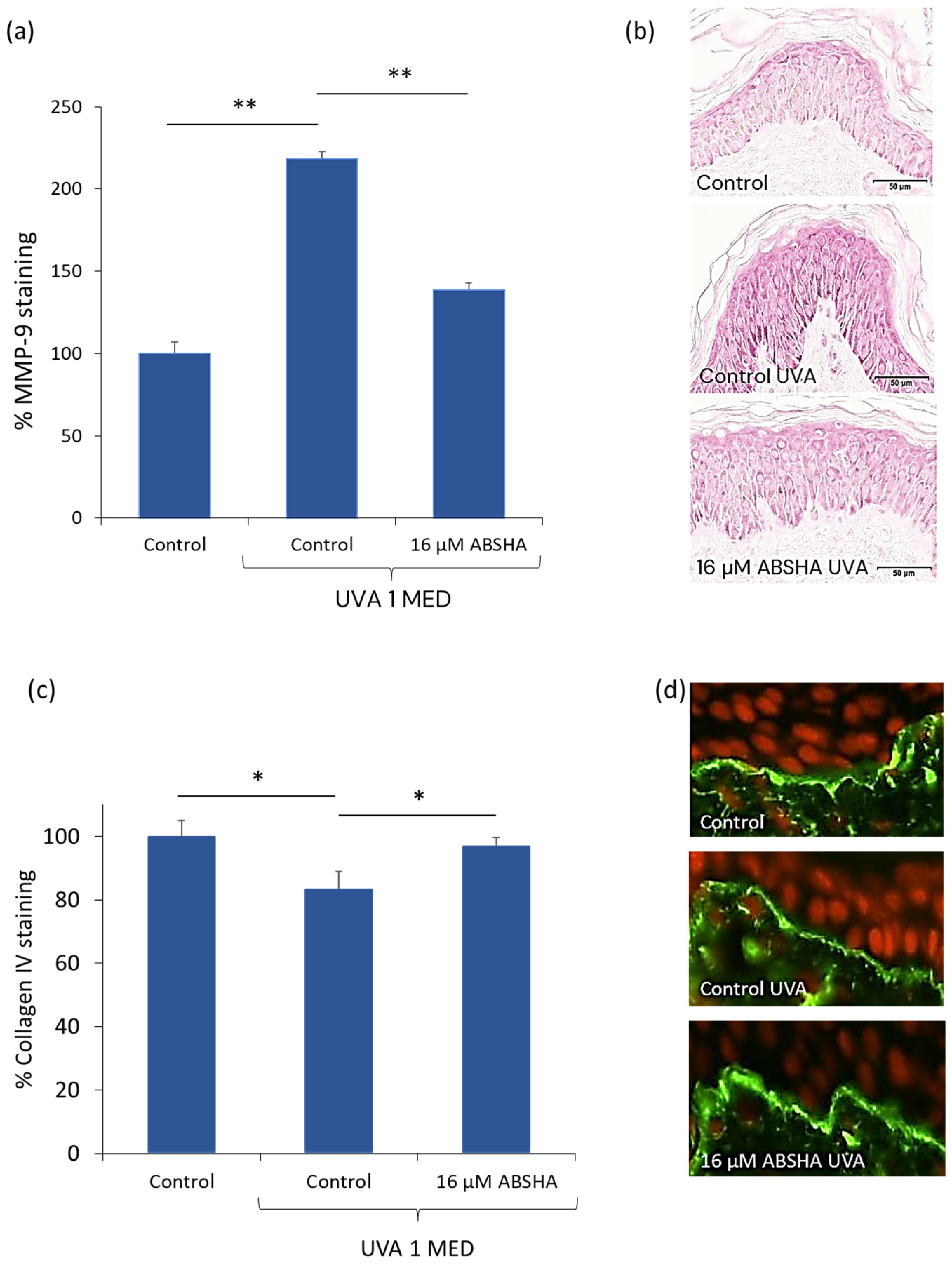Cosmetics 11 00103 g001