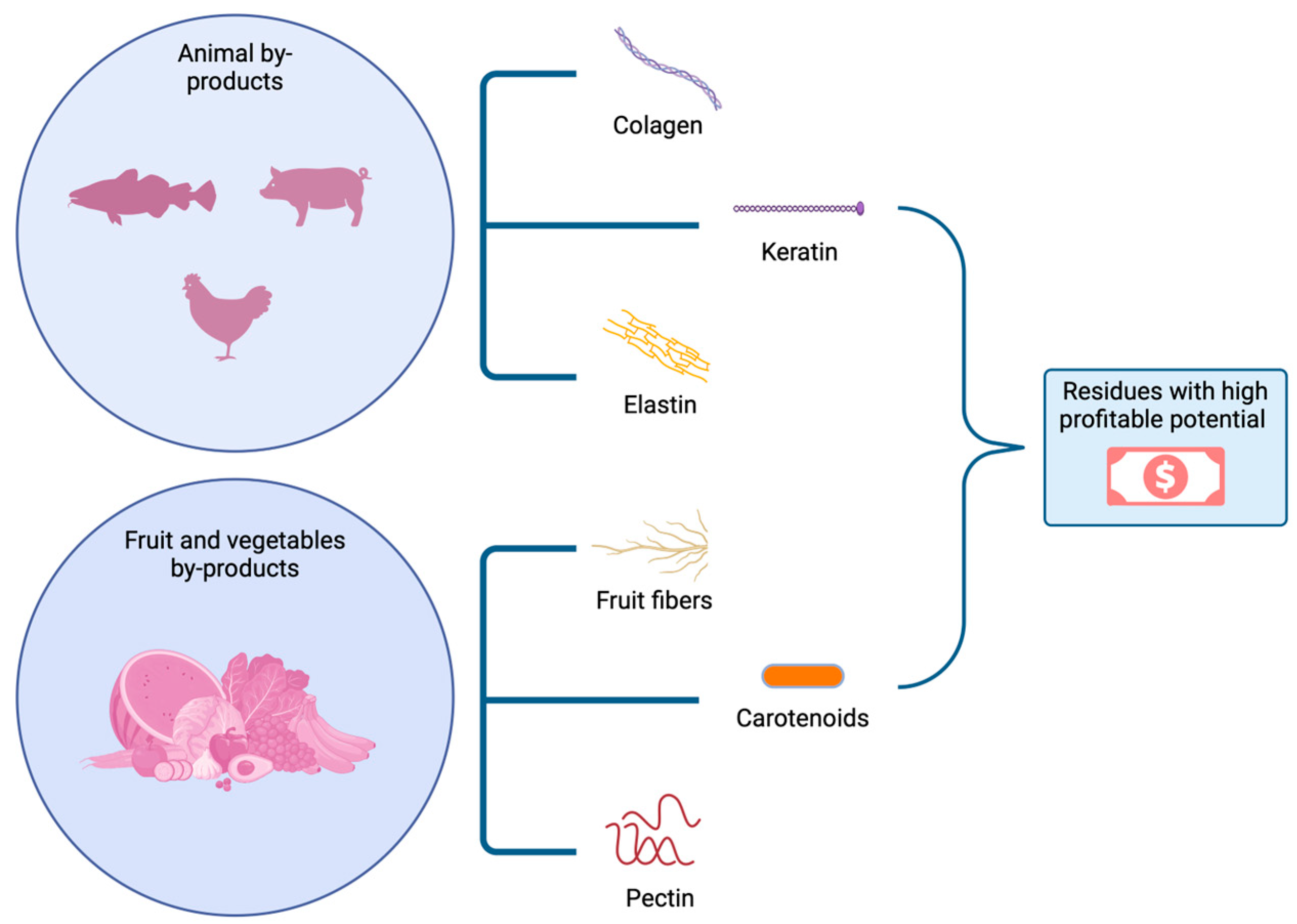 Cosmetics 11 00112 g001