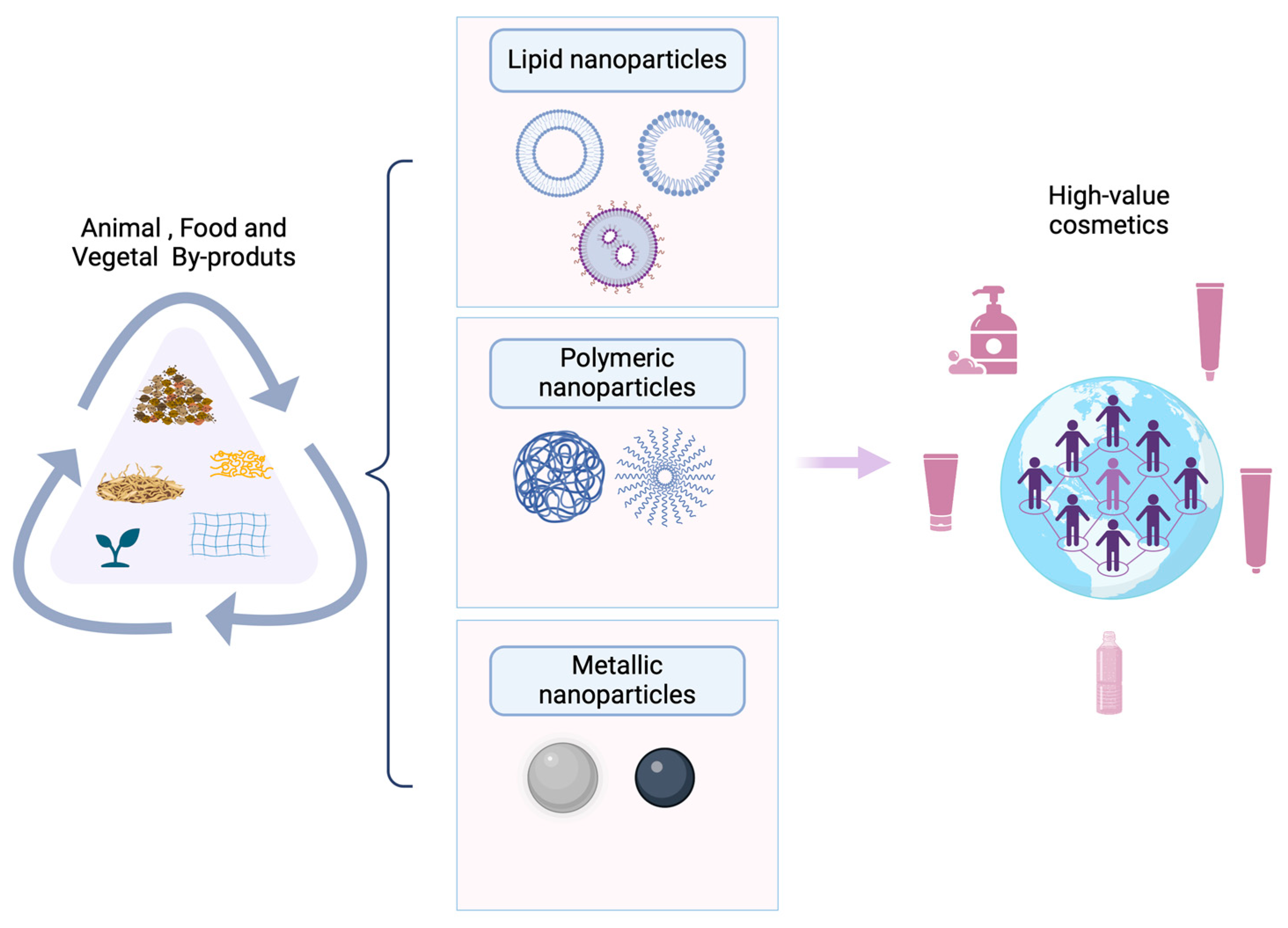 Cosmetics 11 00112 g002