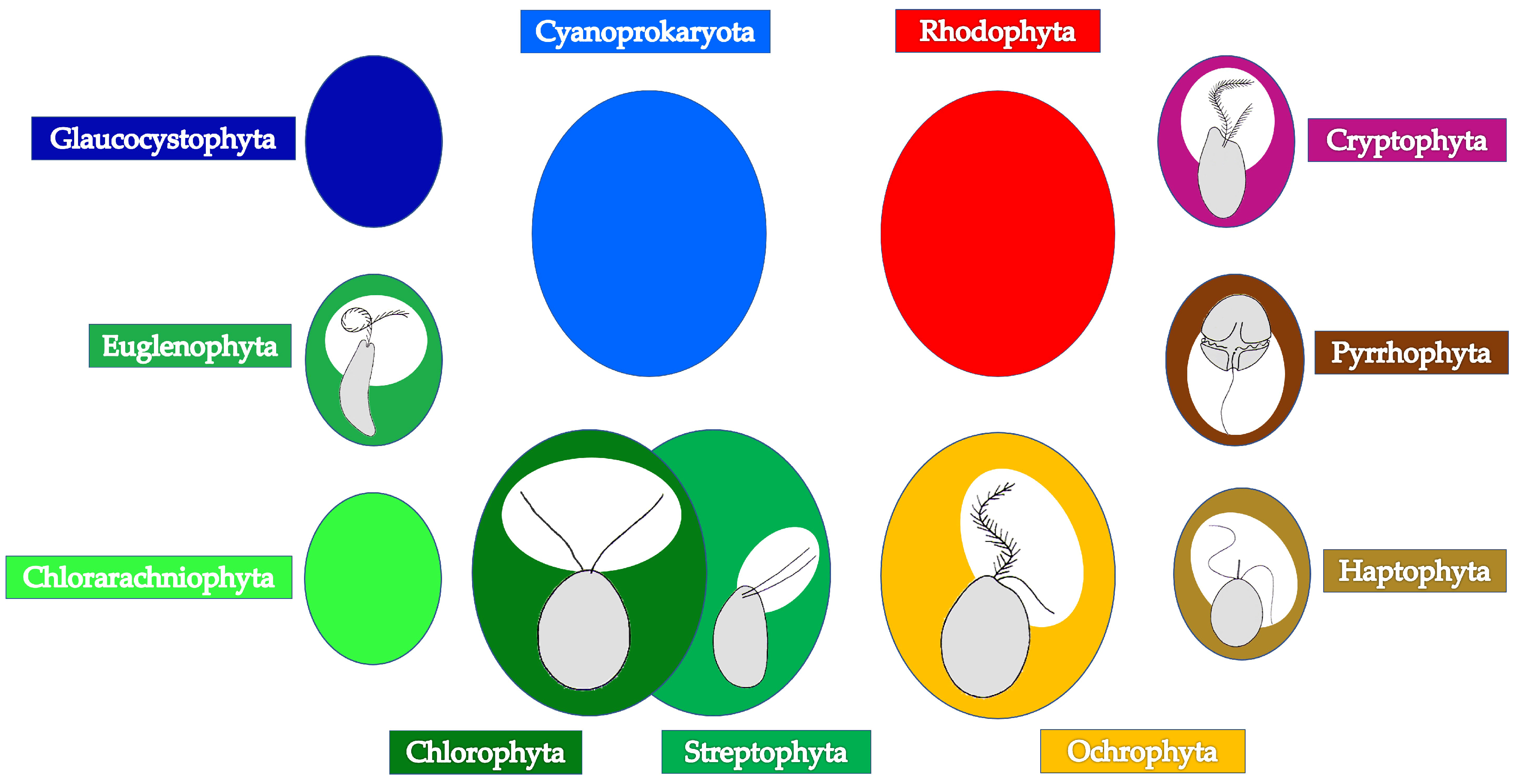 Cosmetics 11 00115 g002 Cosmetics 11 00115 g002