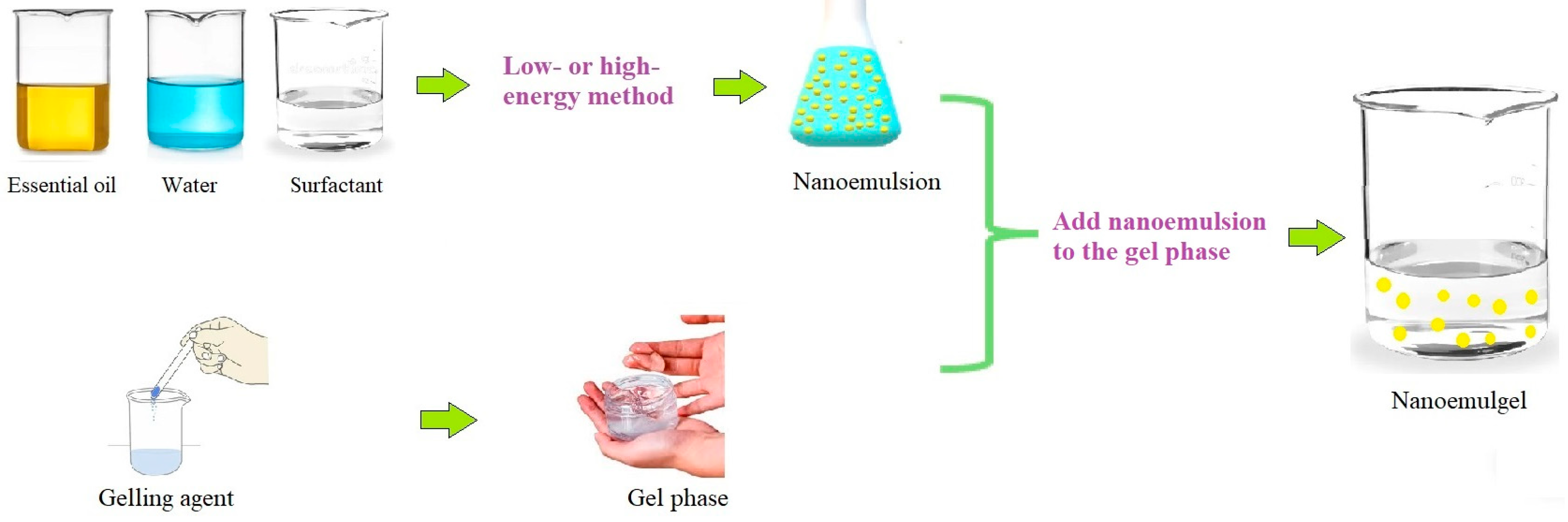 Cosmetics 11 00116 g003