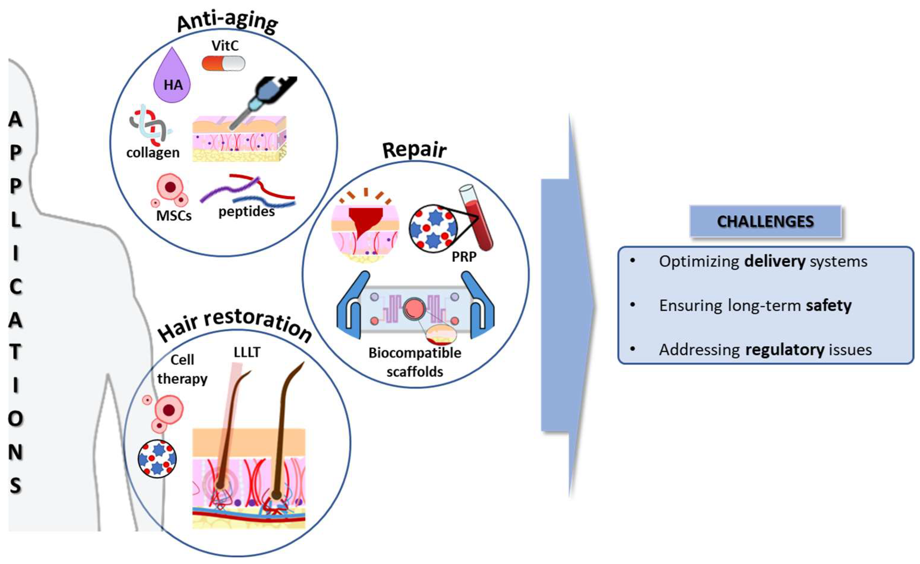 Cosmetics 11 00121 g002