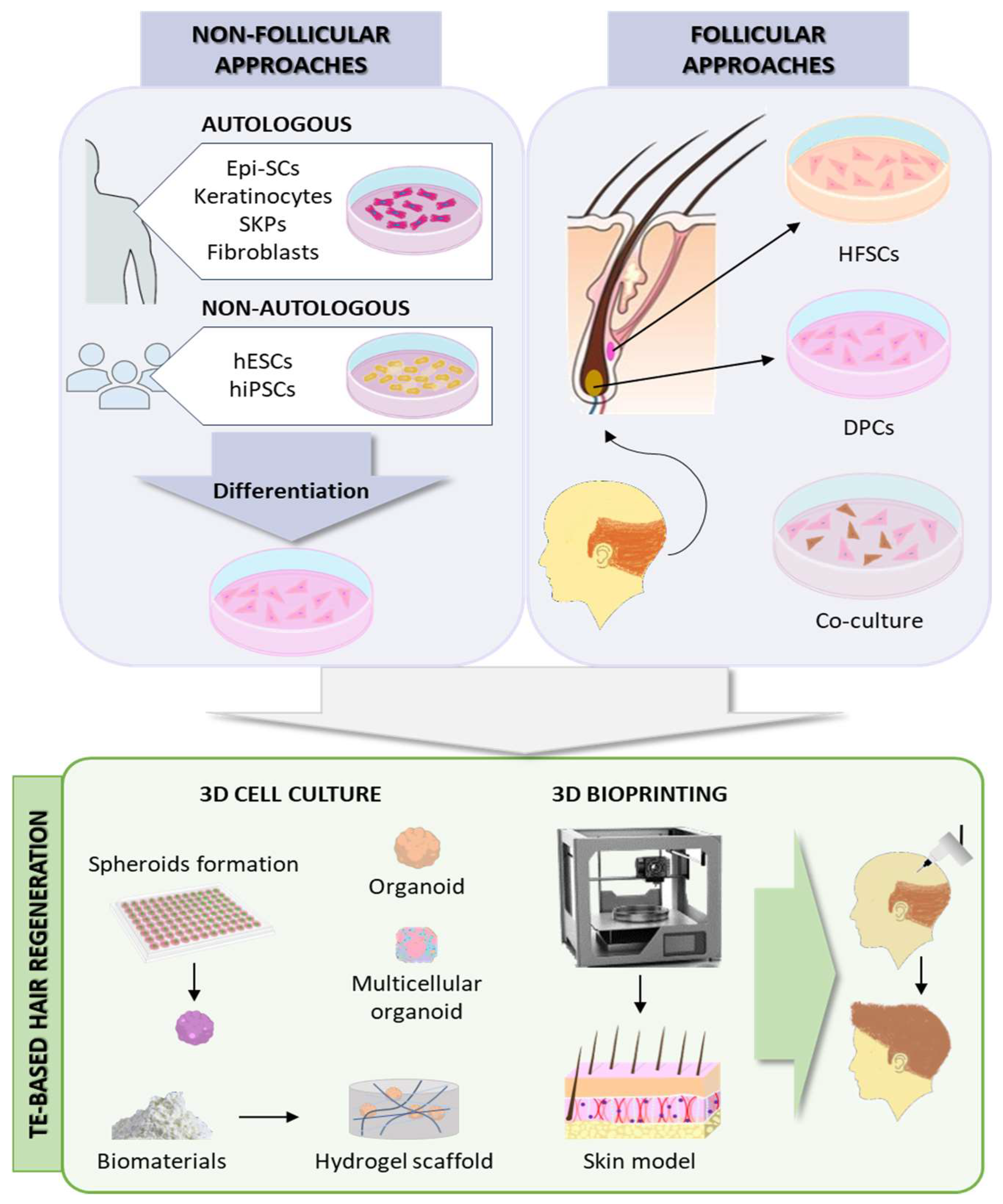 Cosmetics 11 00121 g003