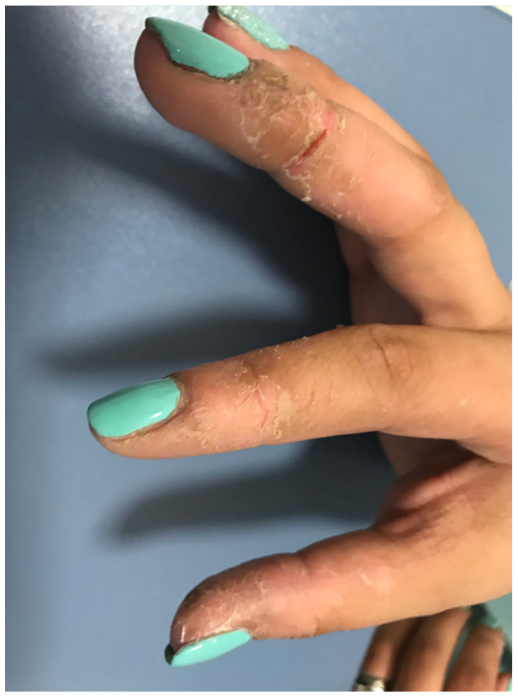 Cosmetics 11 00127 g001