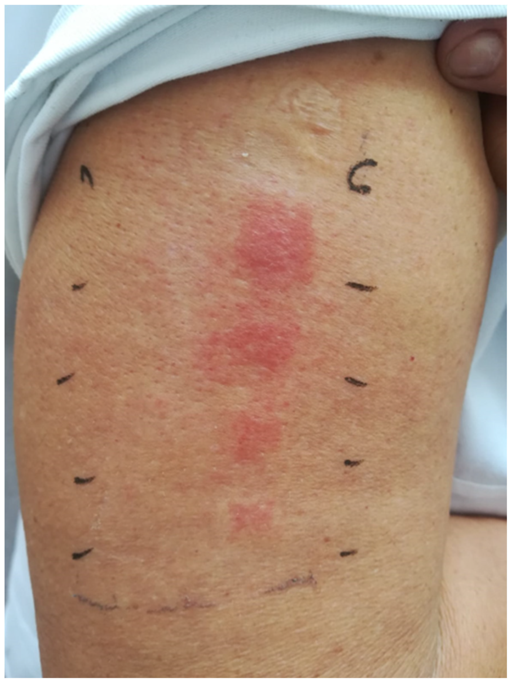 Cosmetics 11 00127 g003