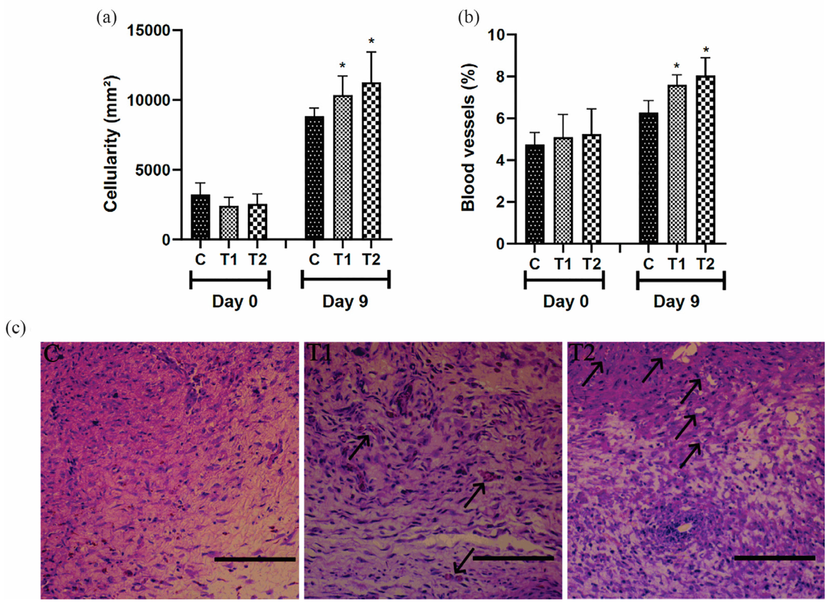 Cosmetics 11 00133 g005