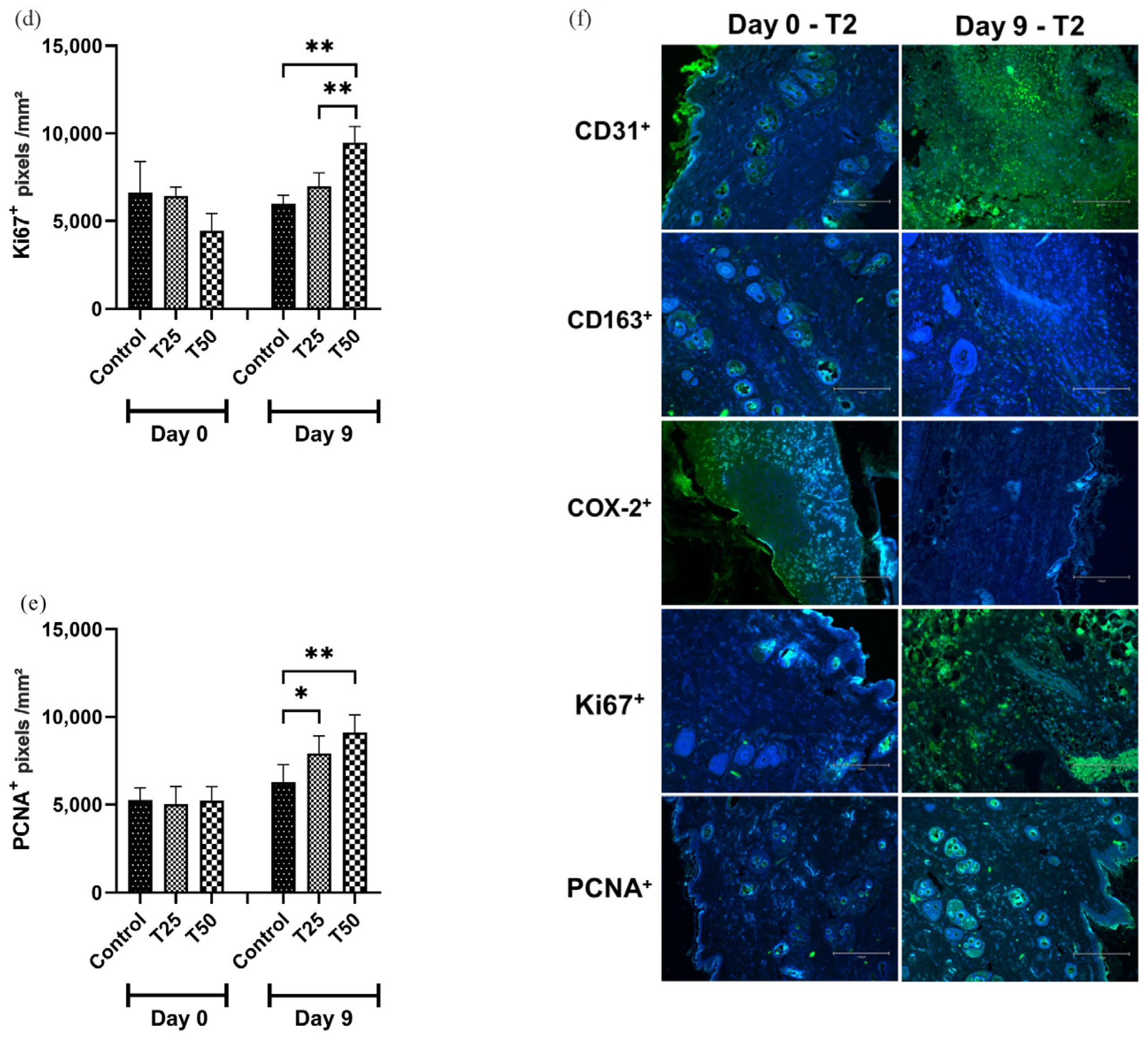 Cosmetics 11 00133 g009b