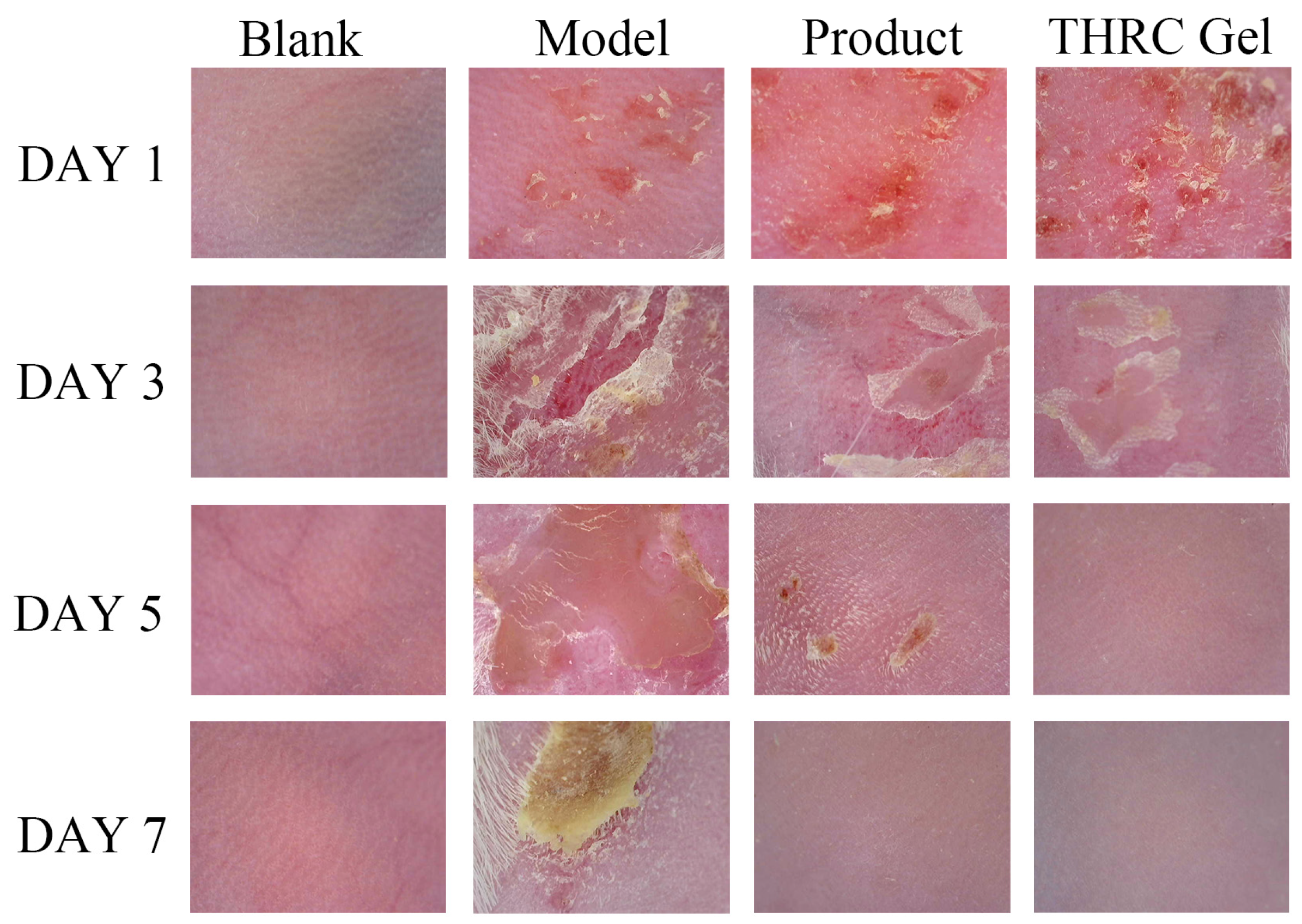 Cosmetics 11 00138 g002