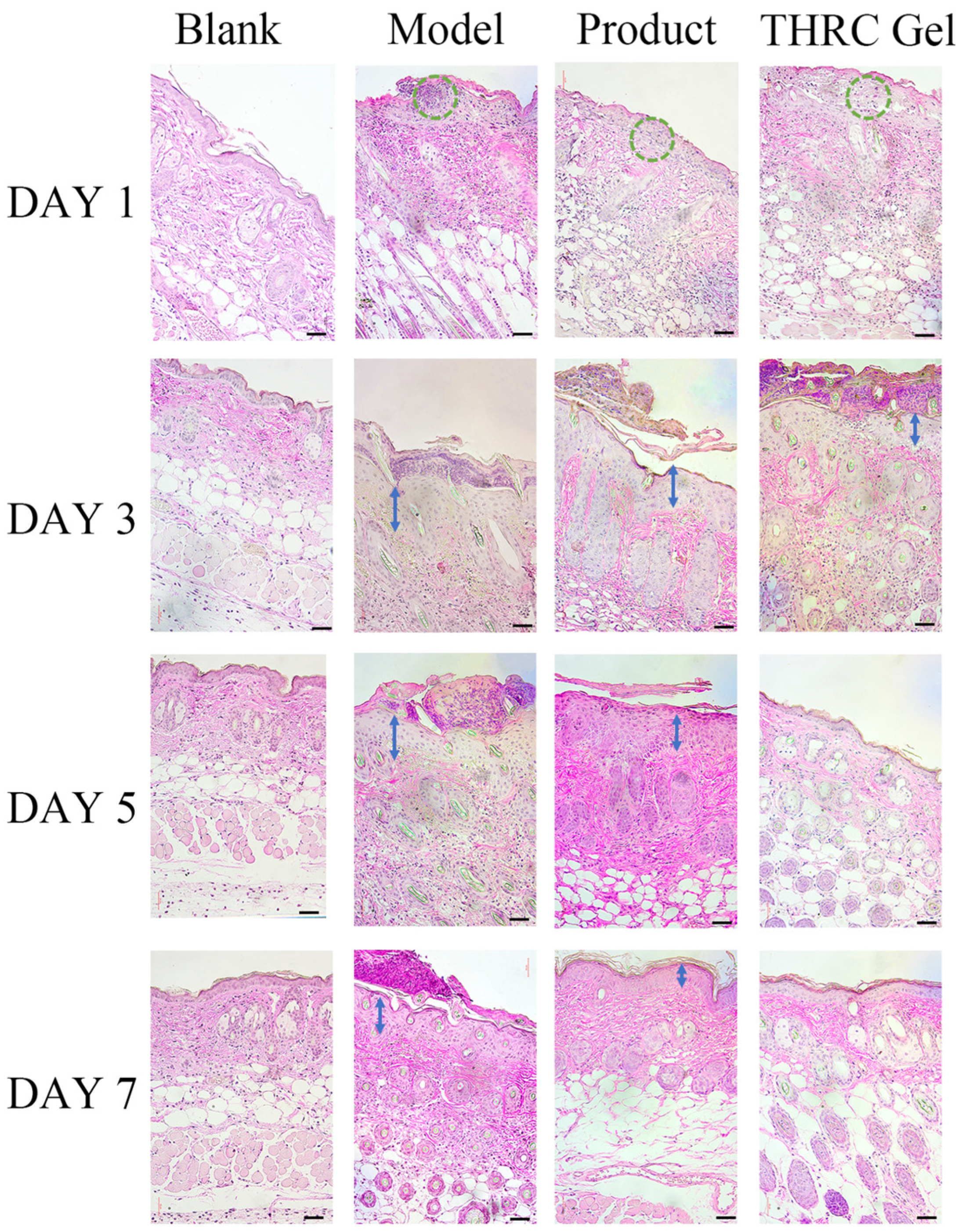 Cosmetics 11 00138 g004