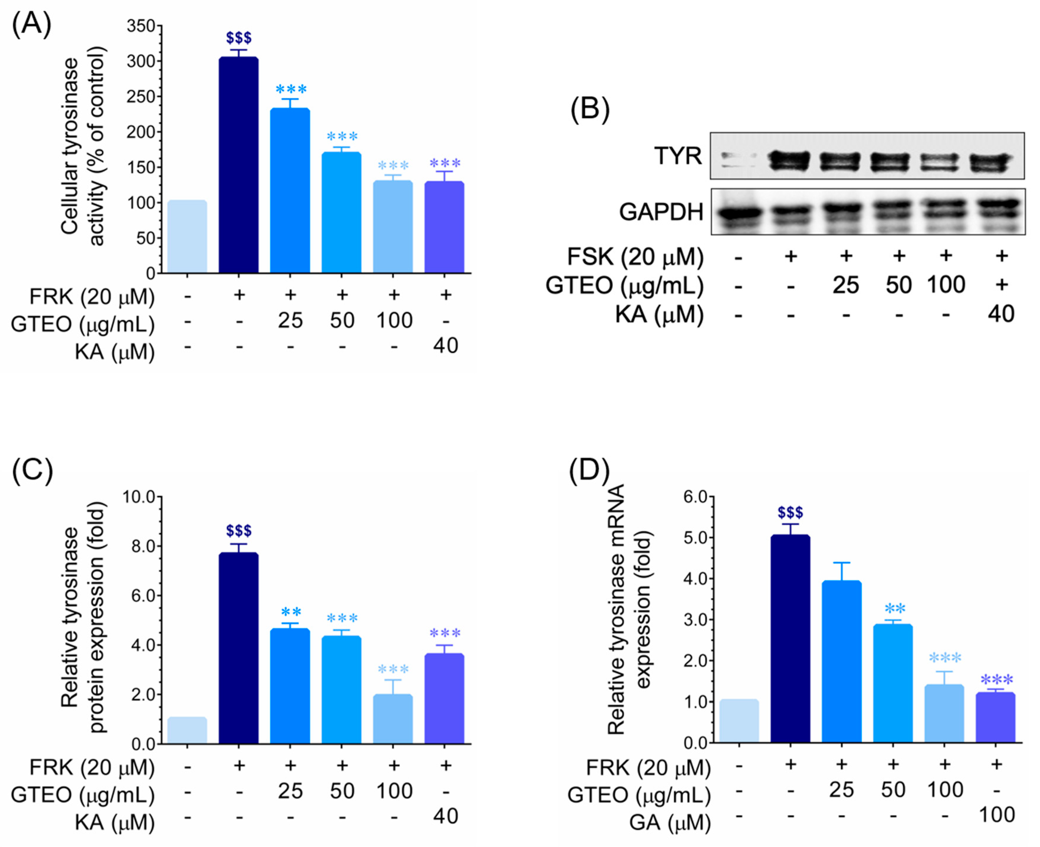 Cosmetics 11 00142 g003