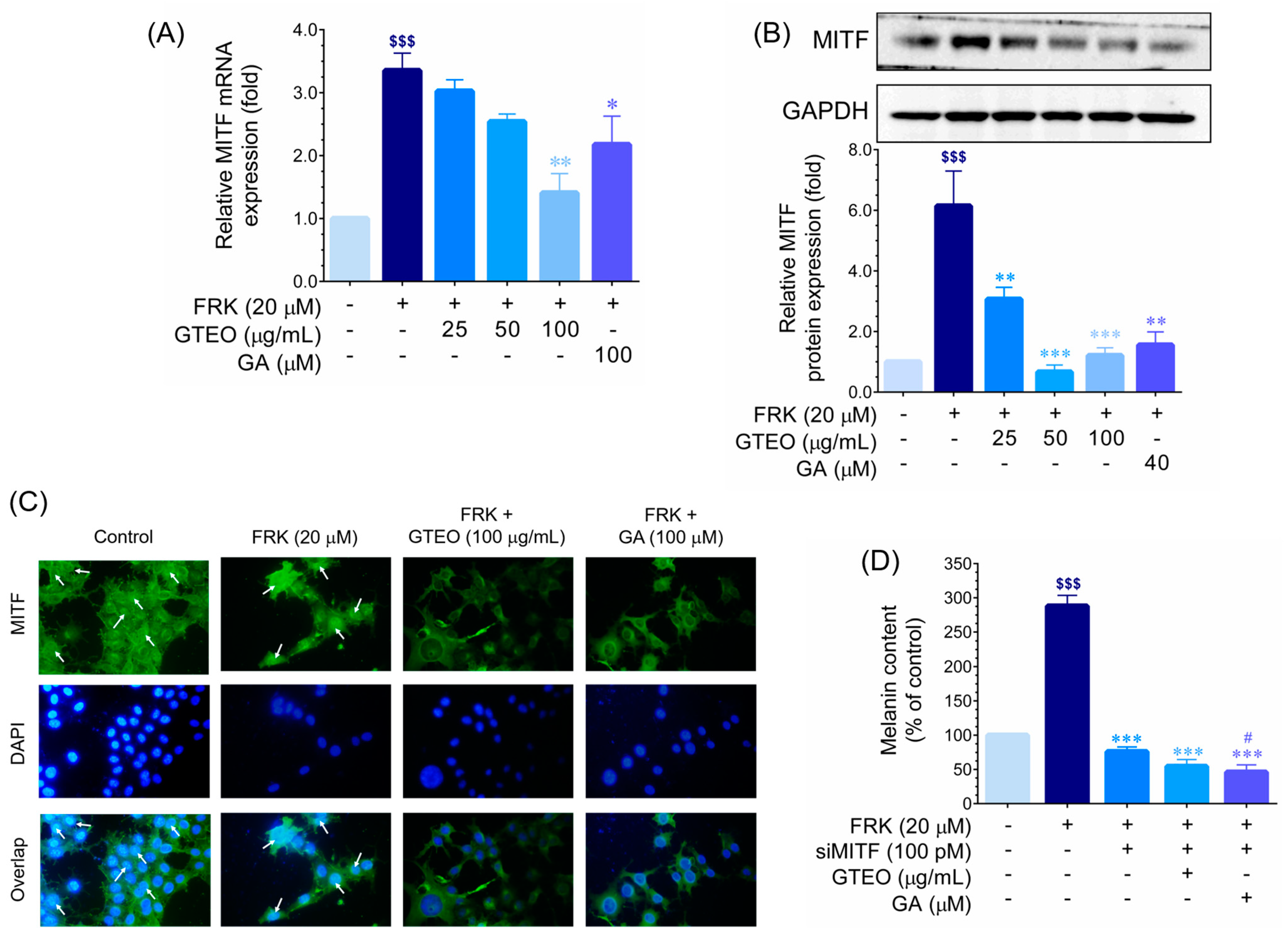 Cosmetics 11 00142 g004