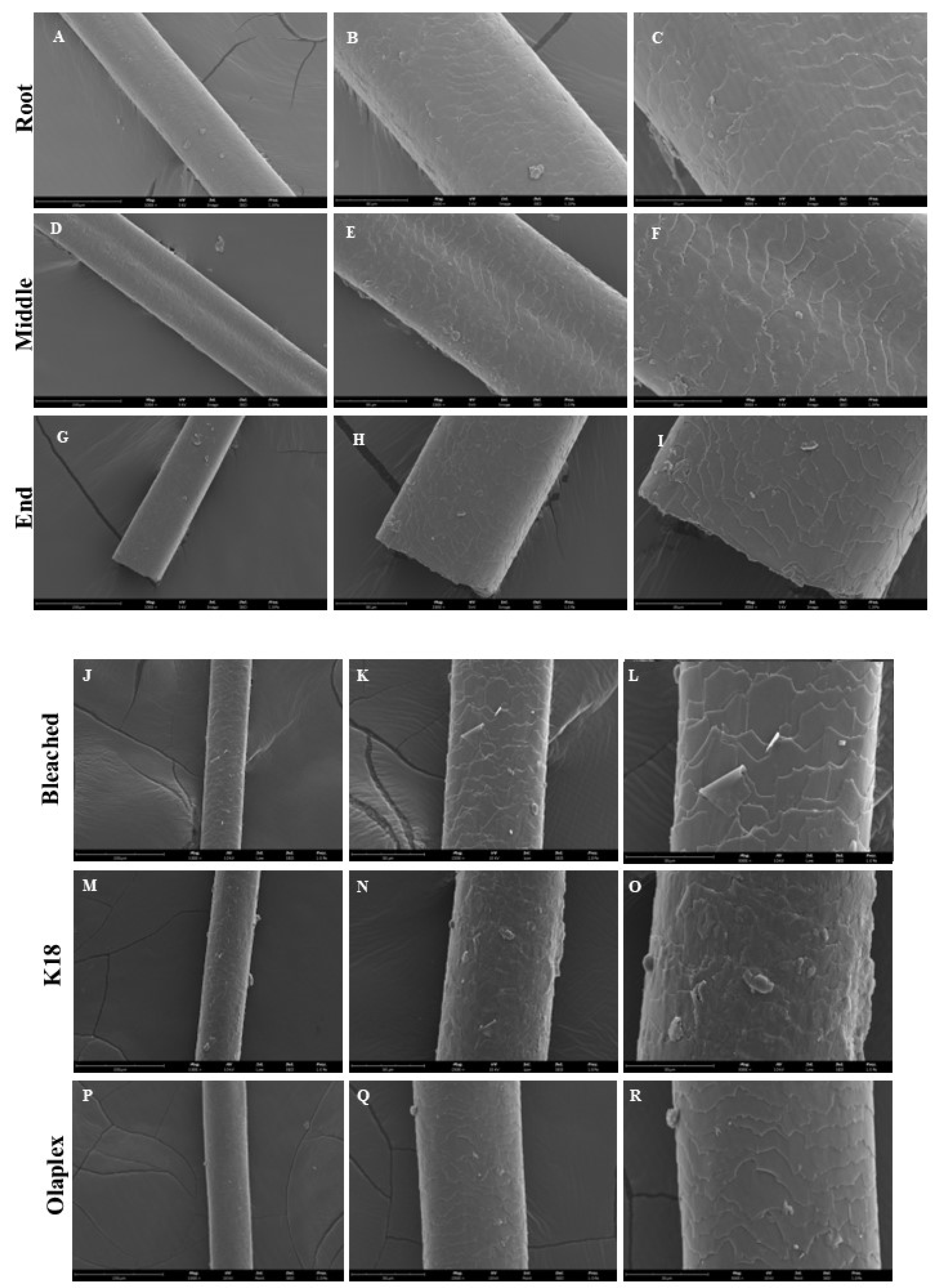 Cosmetics 11 00150 g003