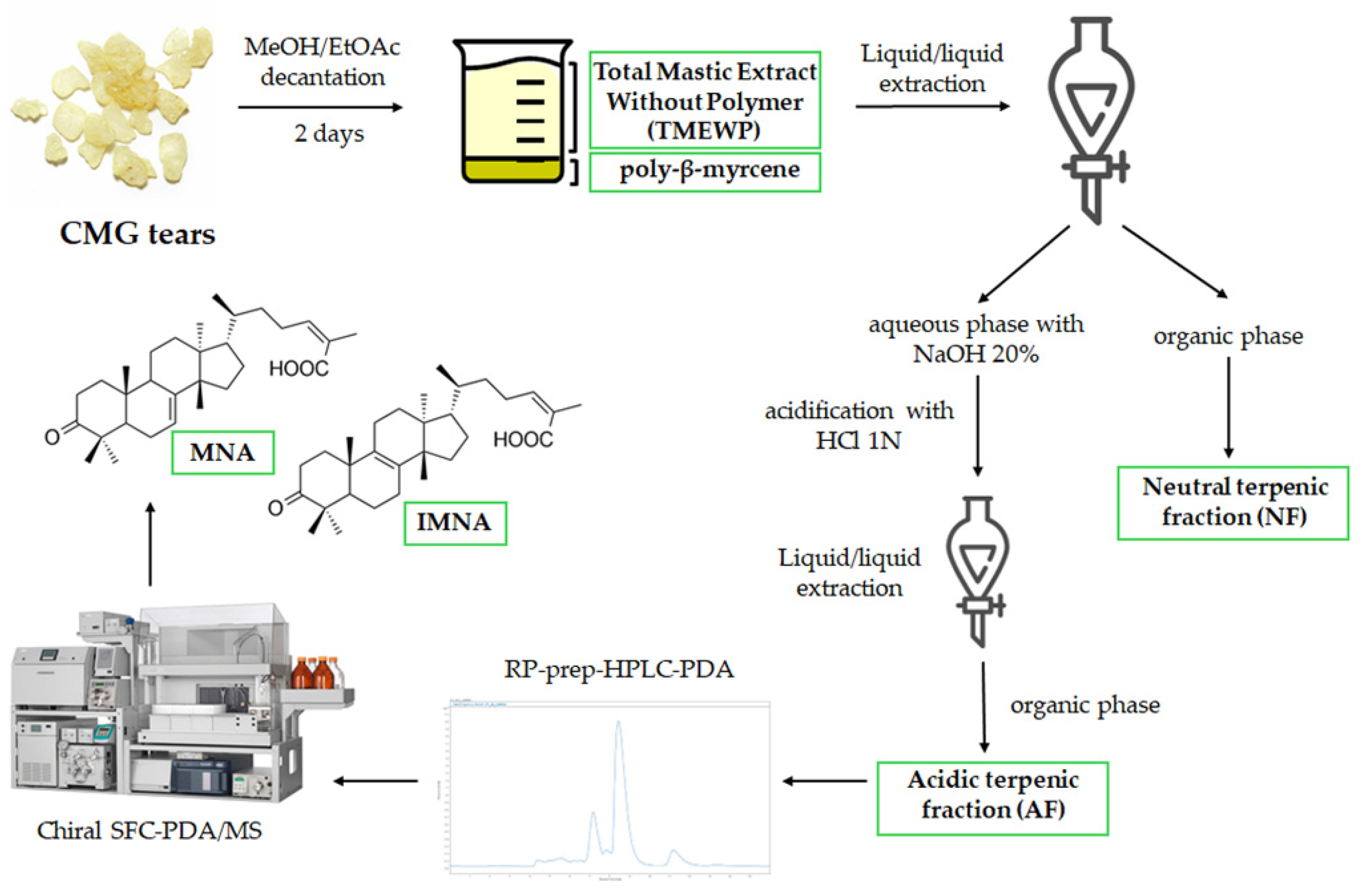 Cosmetics 11 00155 g001