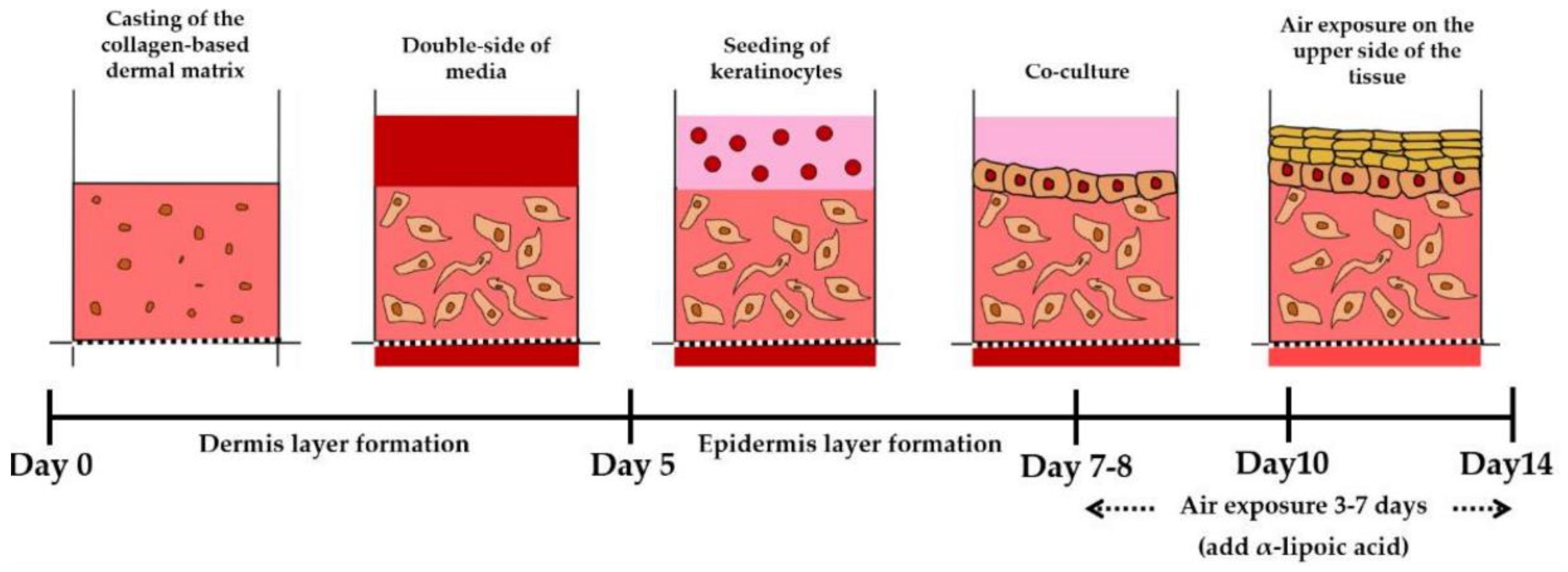 Cosmetics 11 00170 g006