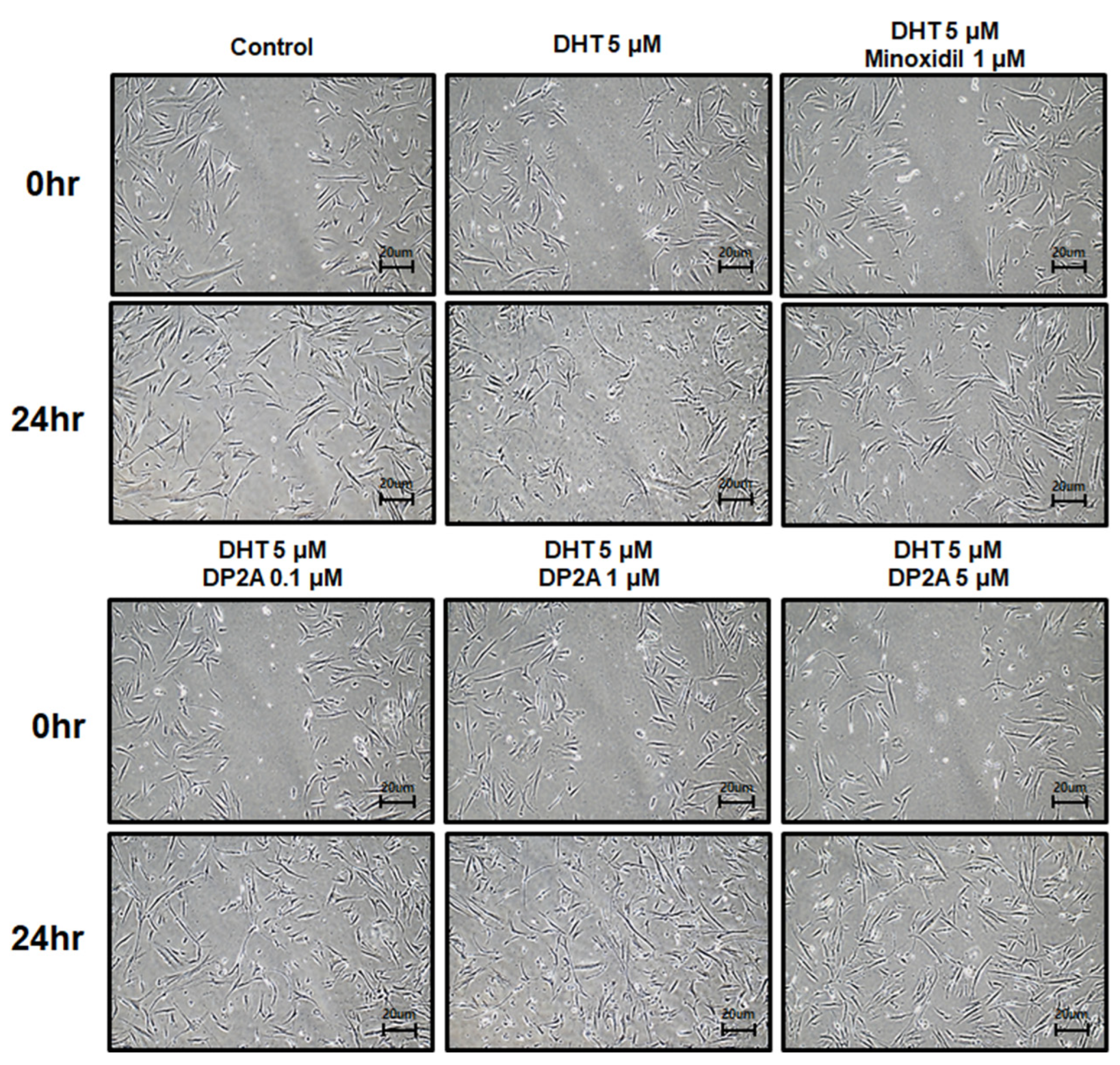 Cosmetics 11 00177 g002