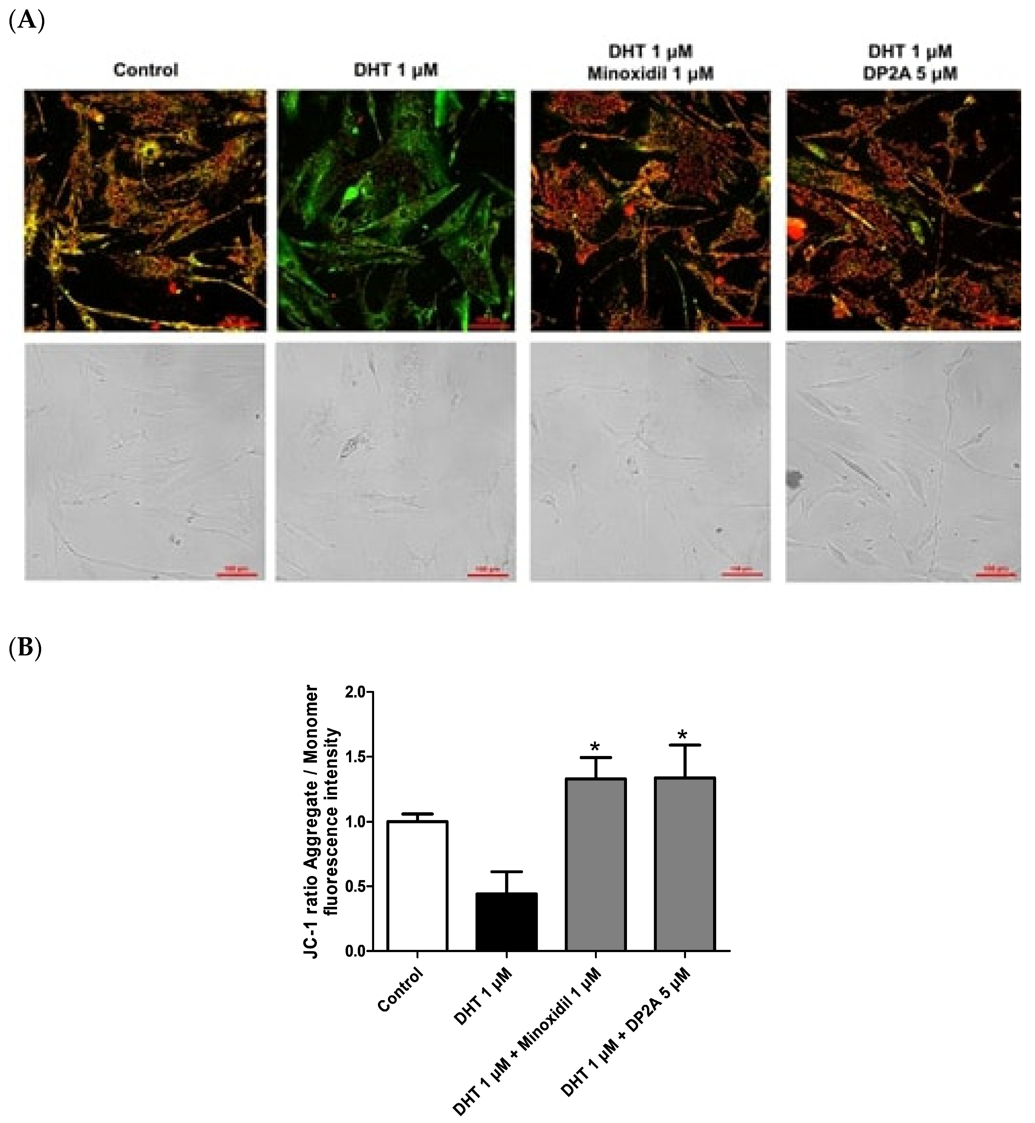 Cosmetics 11 00177 g005