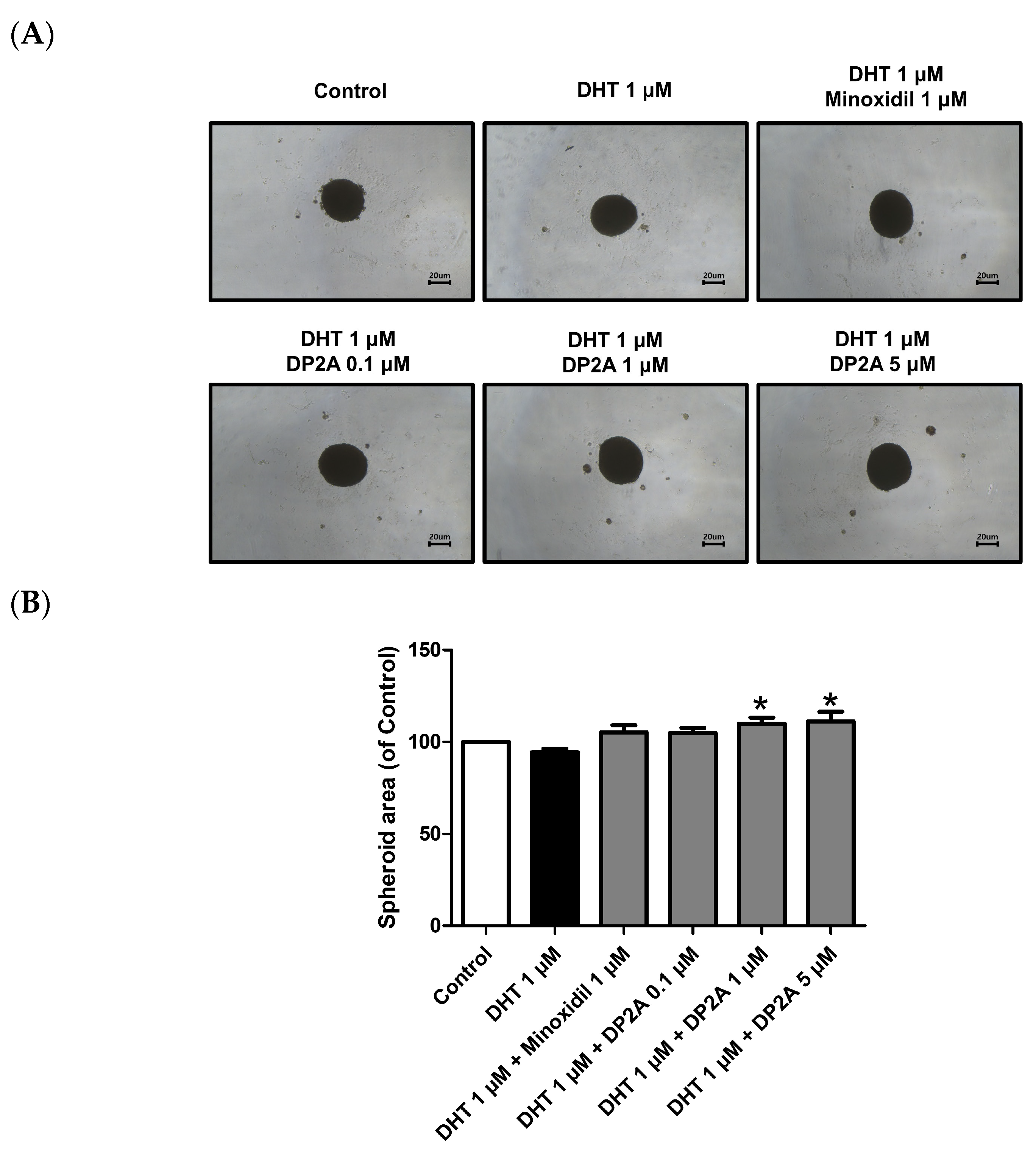 Cosmetics 11 00177 g007