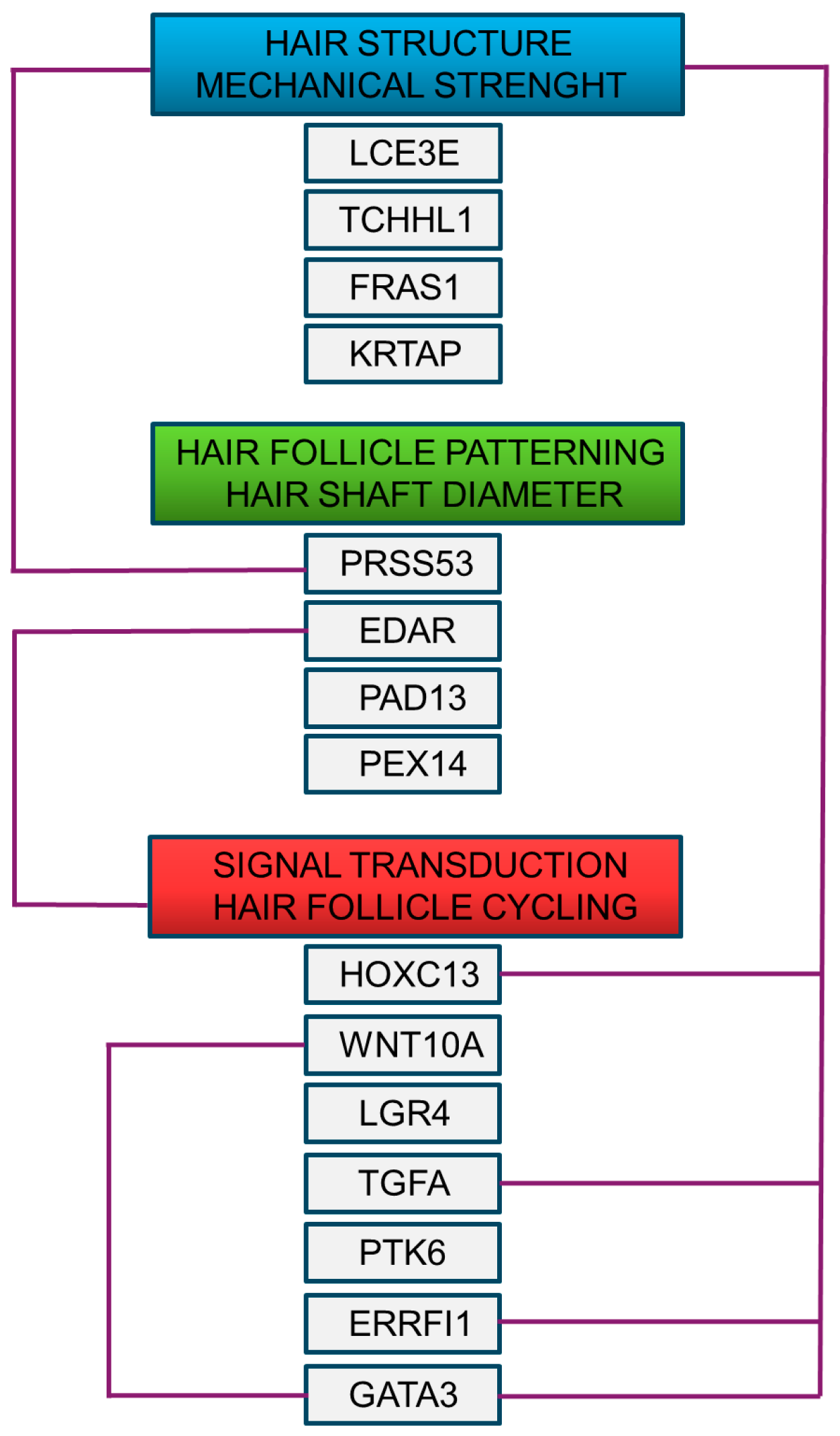 Cosmetics 11 00183 g003