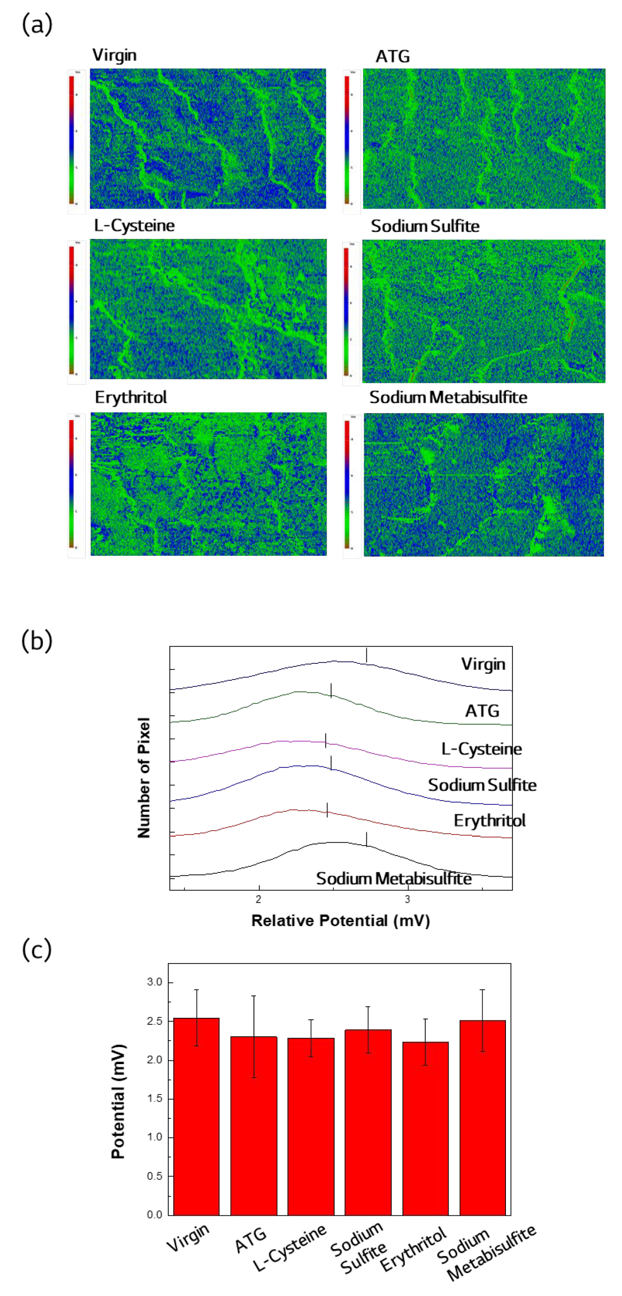 Cosmetics 11 00189 g002