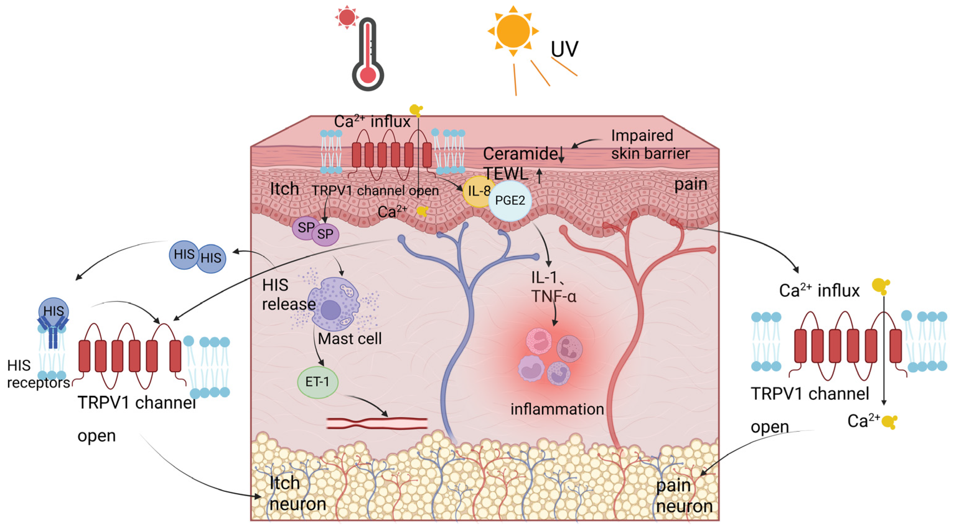 Cosmetics 11 00190 g004