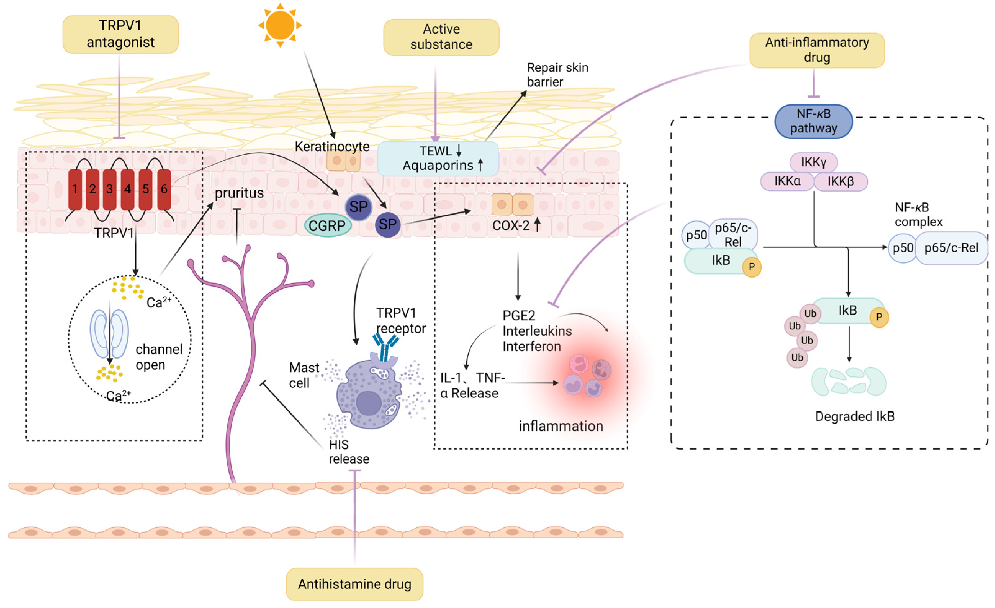 Cosmetics 11 00190 g005