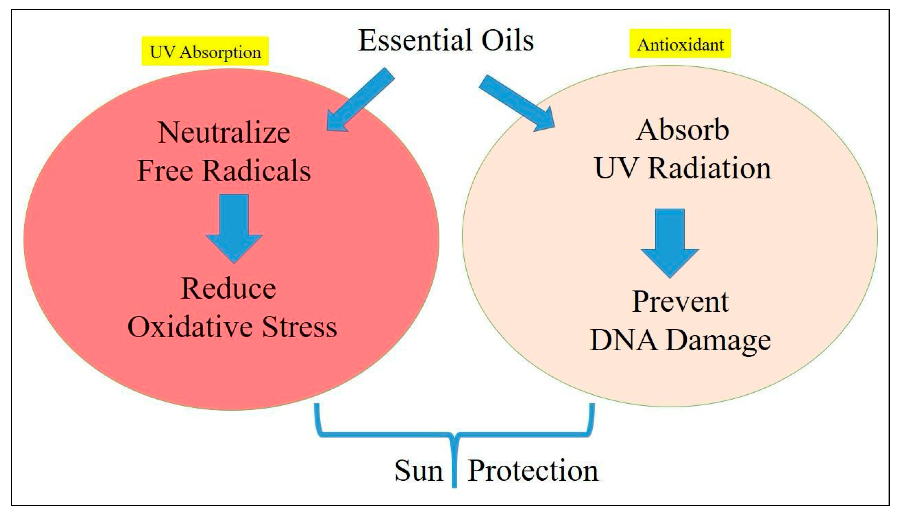 Cosmetics 11 00210 g004