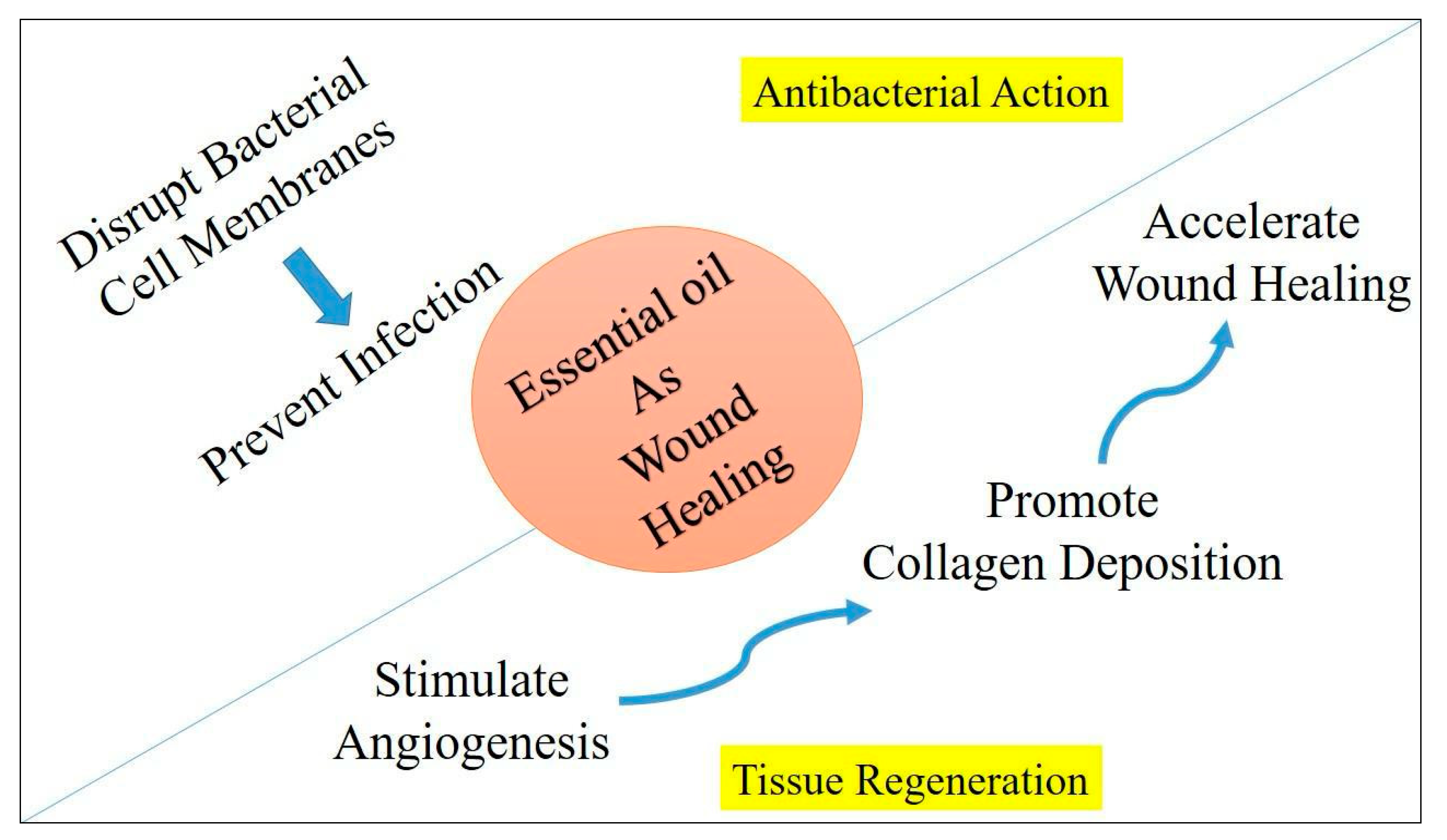 Cosmetics 11 00210 g005
