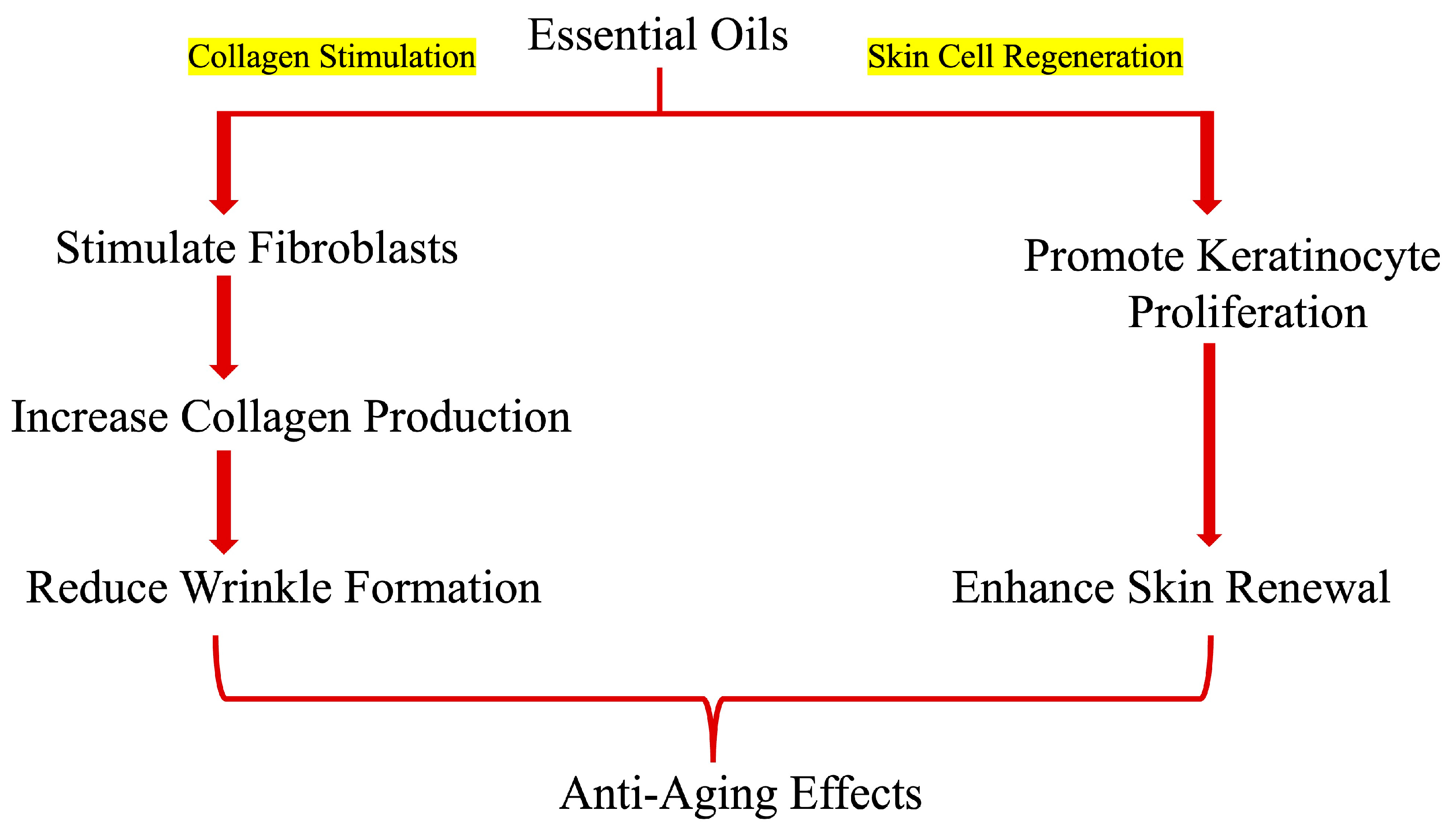 Cosmetics 11 00210 g006