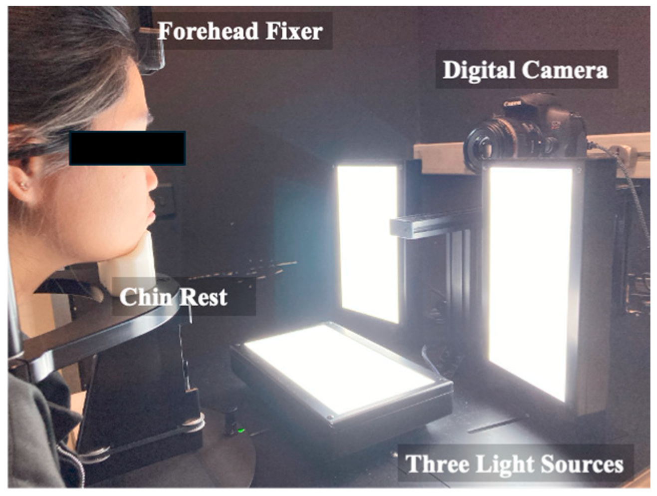 Cosmetics 11 00219 g001