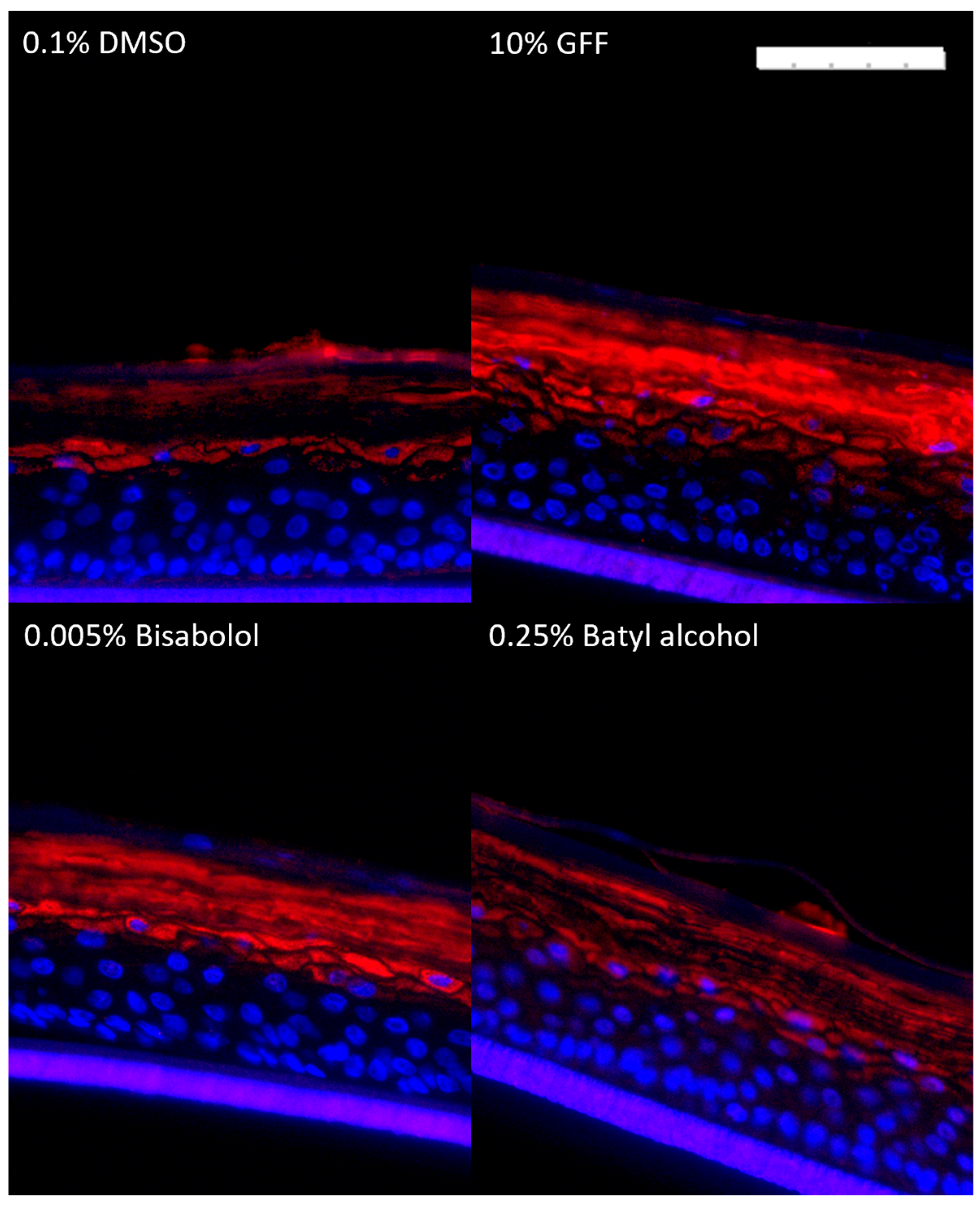 Cosmetics 11 00219 g011
