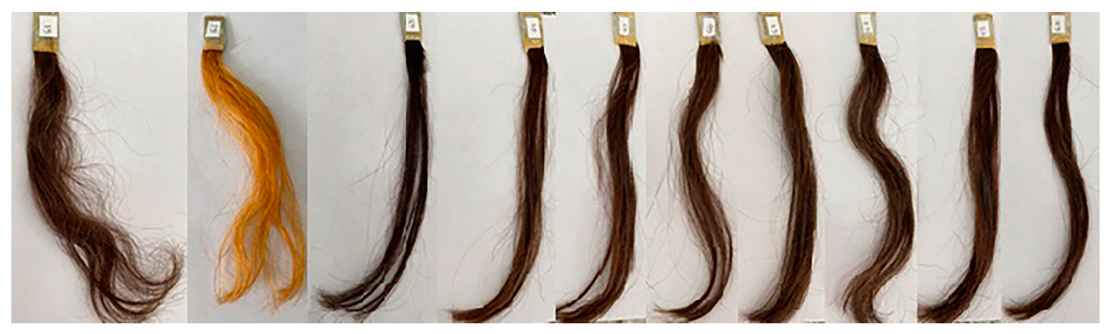 Cosmetics 11 00222 g001