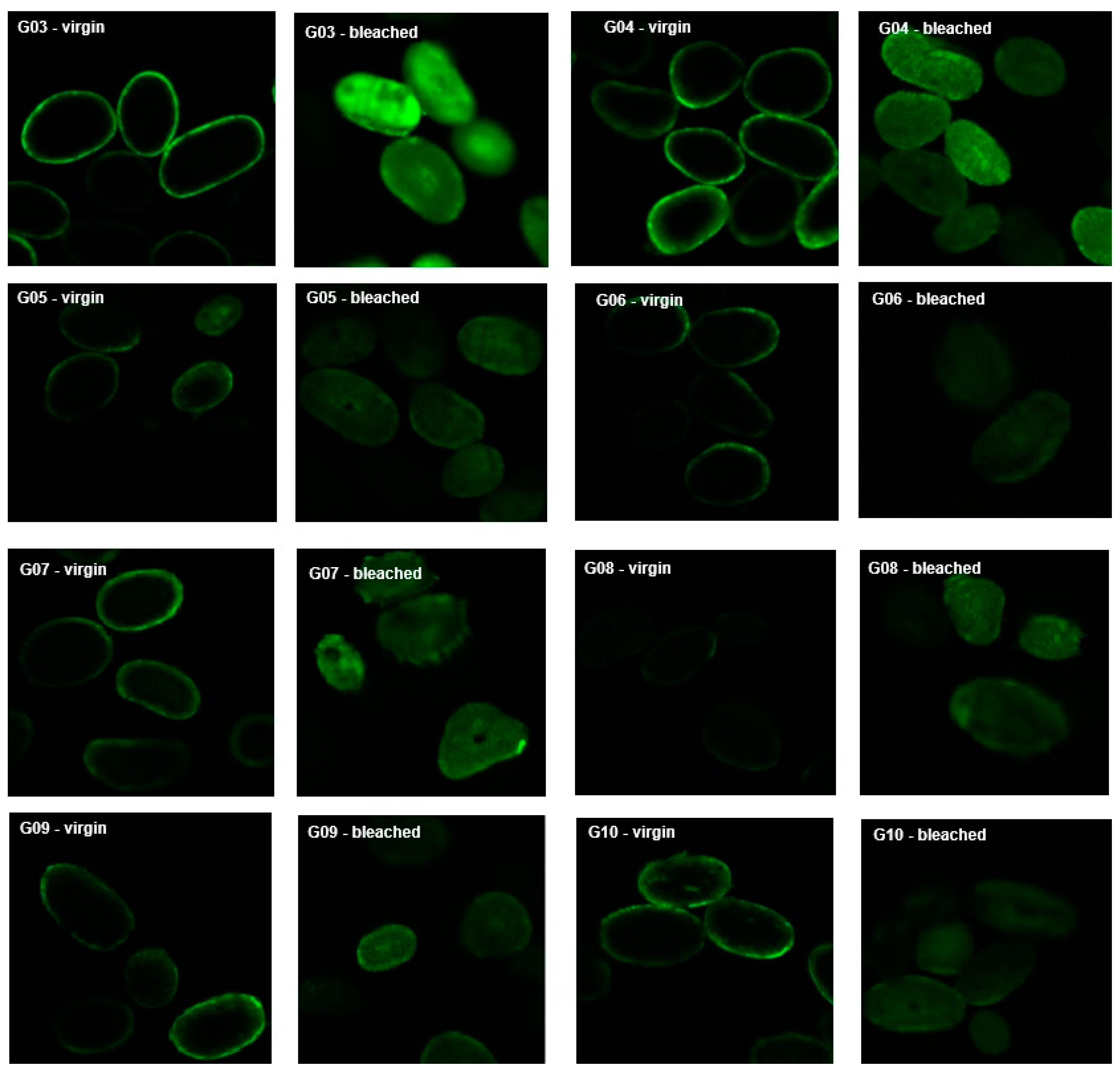 Cosmetics 11 00222 g006