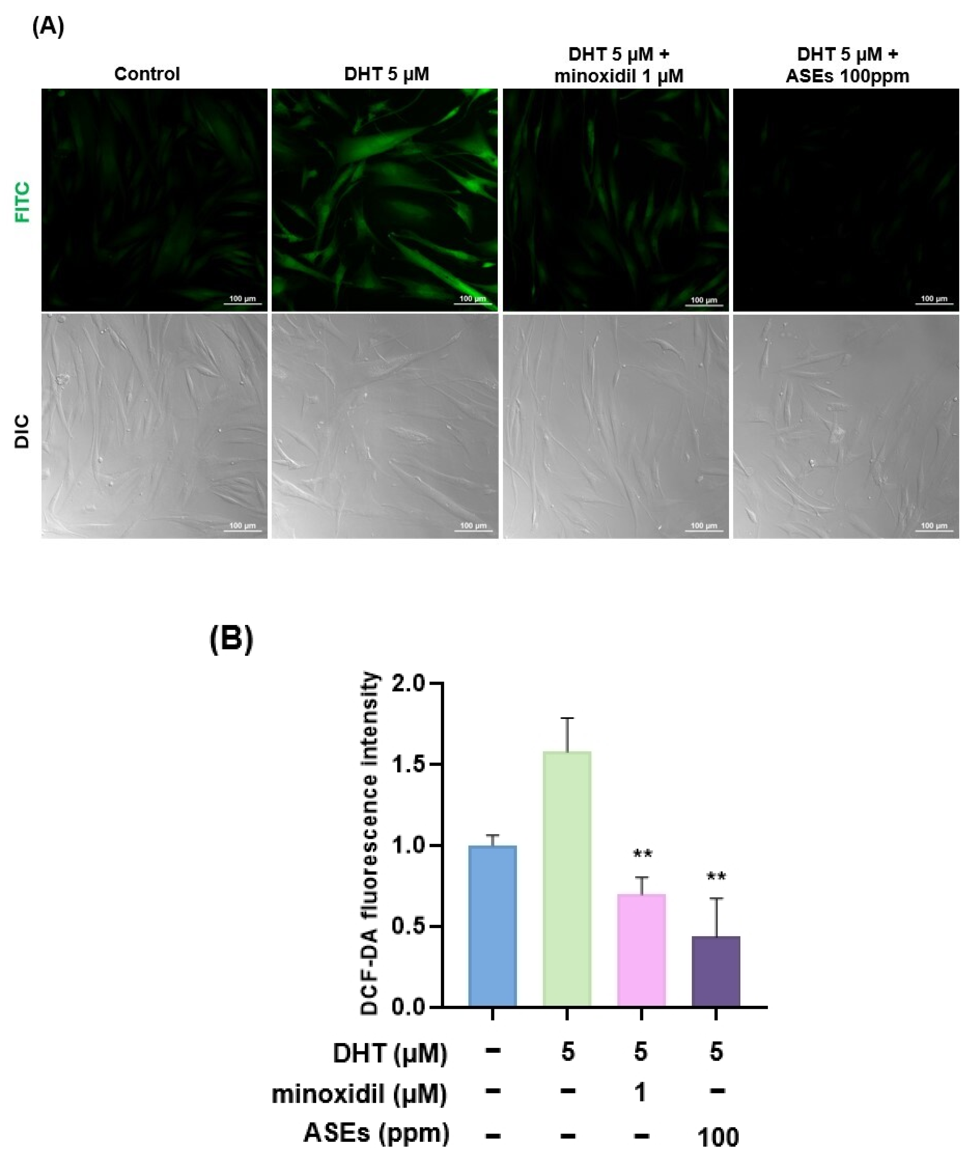 Cosmetics 12 00006 g004