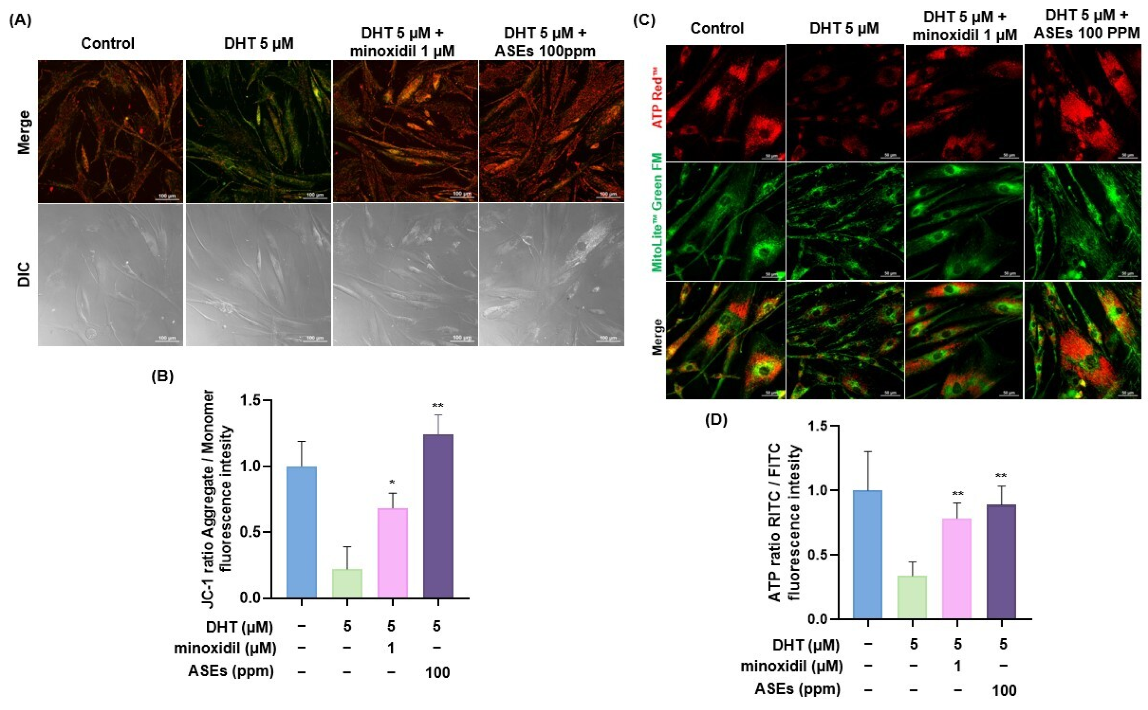 Cosmetics 12 00006 g005
