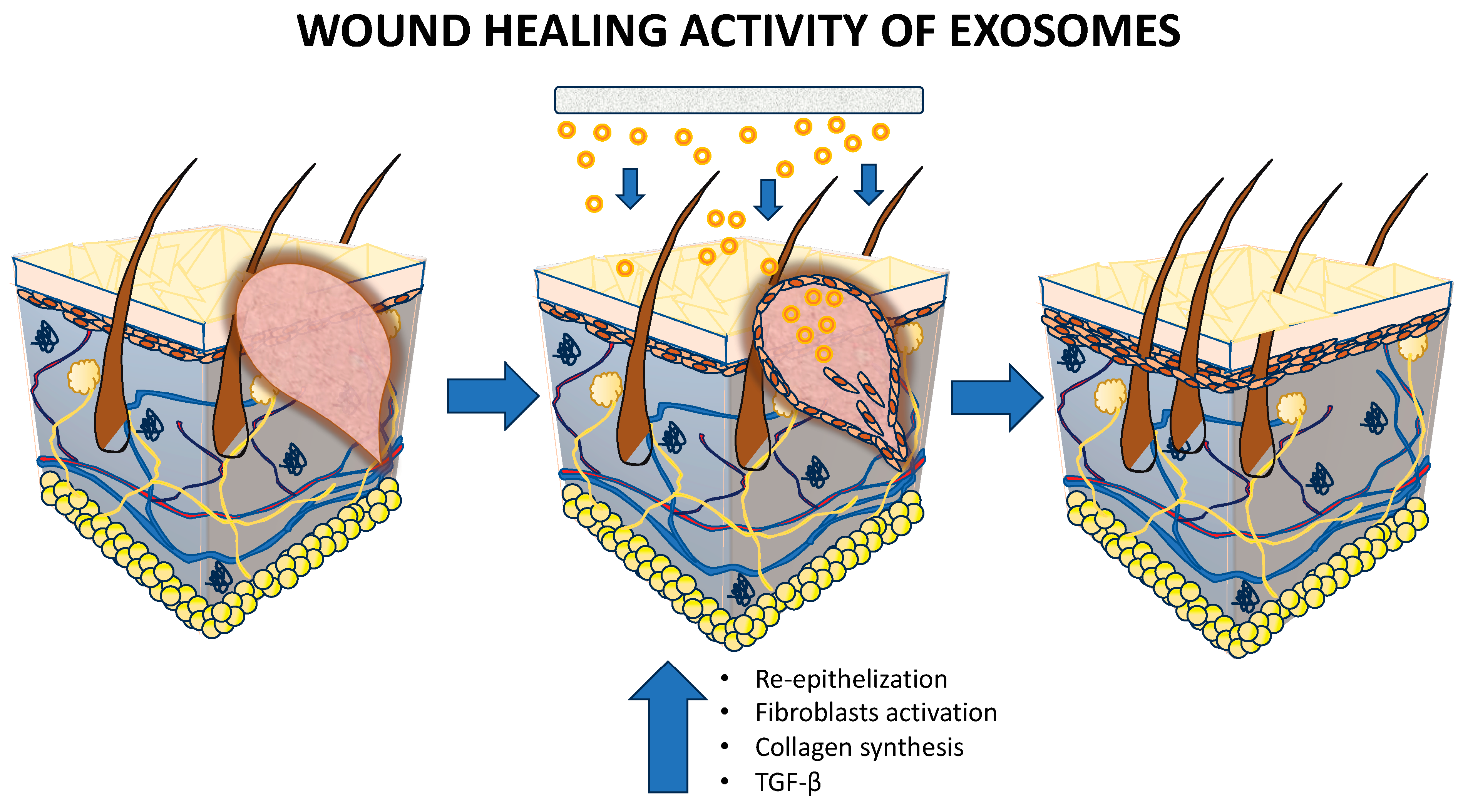 Cosmetics 12 00009 g004