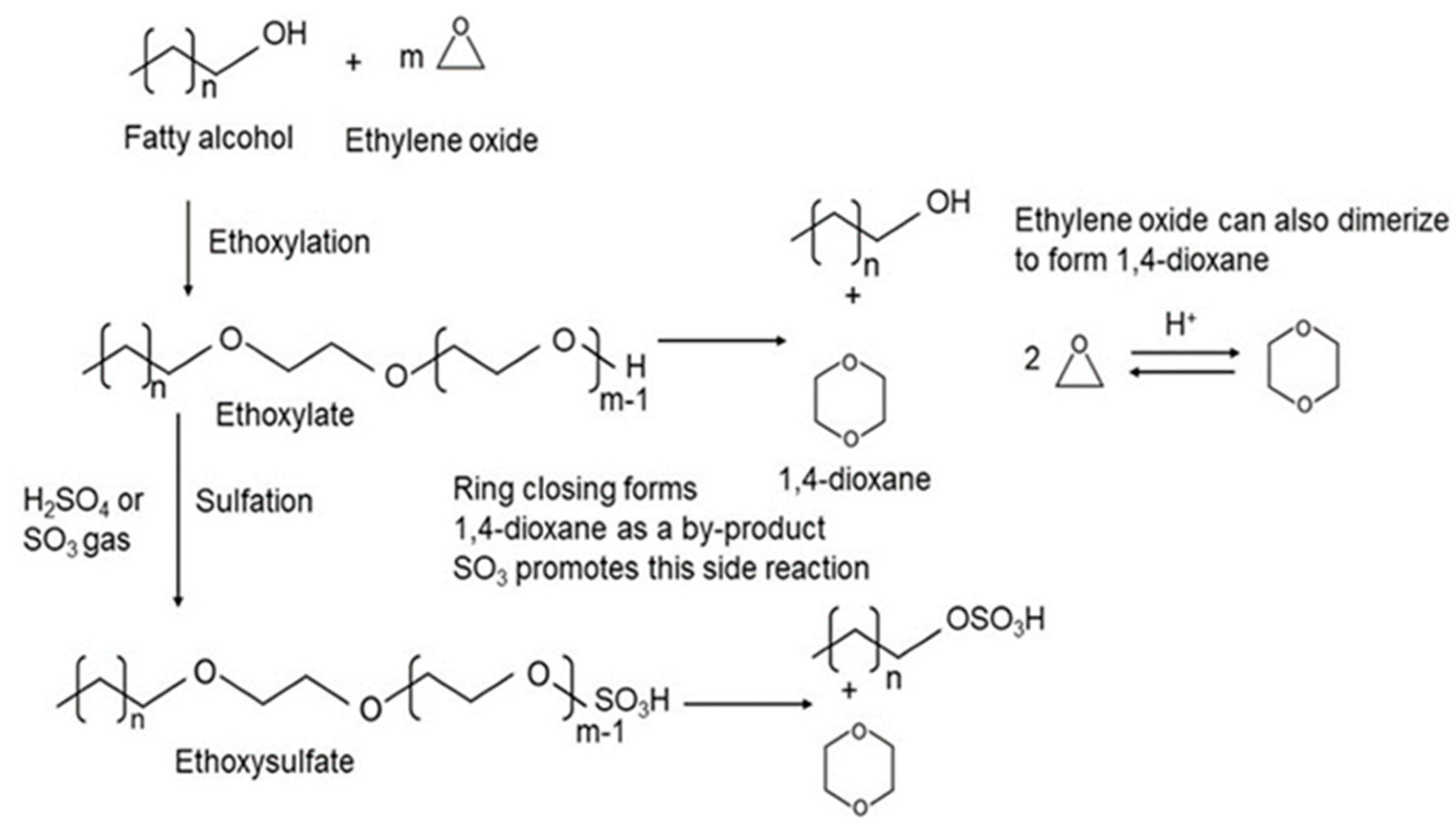 Cosmetics 12 00014 g003