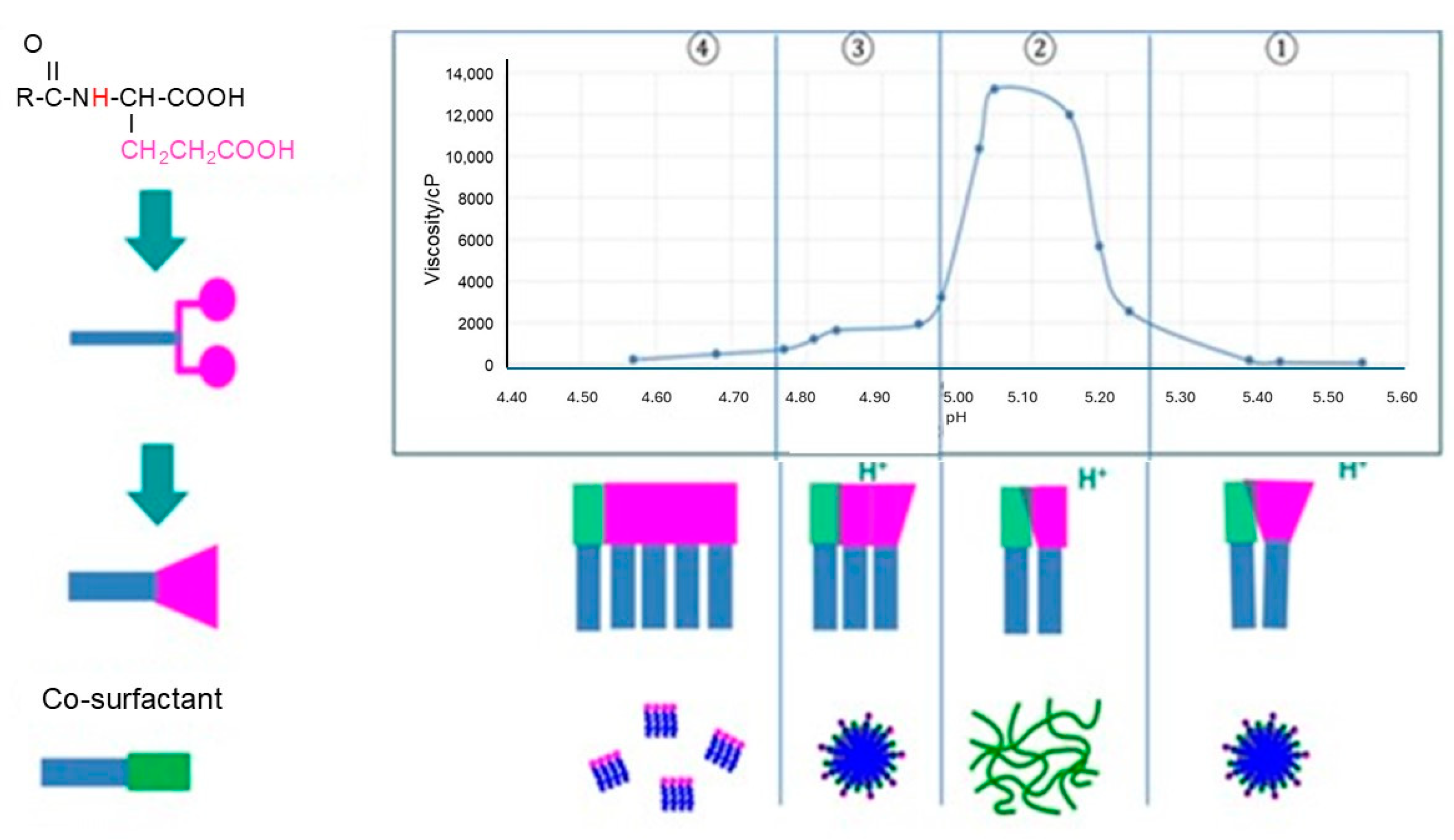 Cosmetics 12 00014 g011