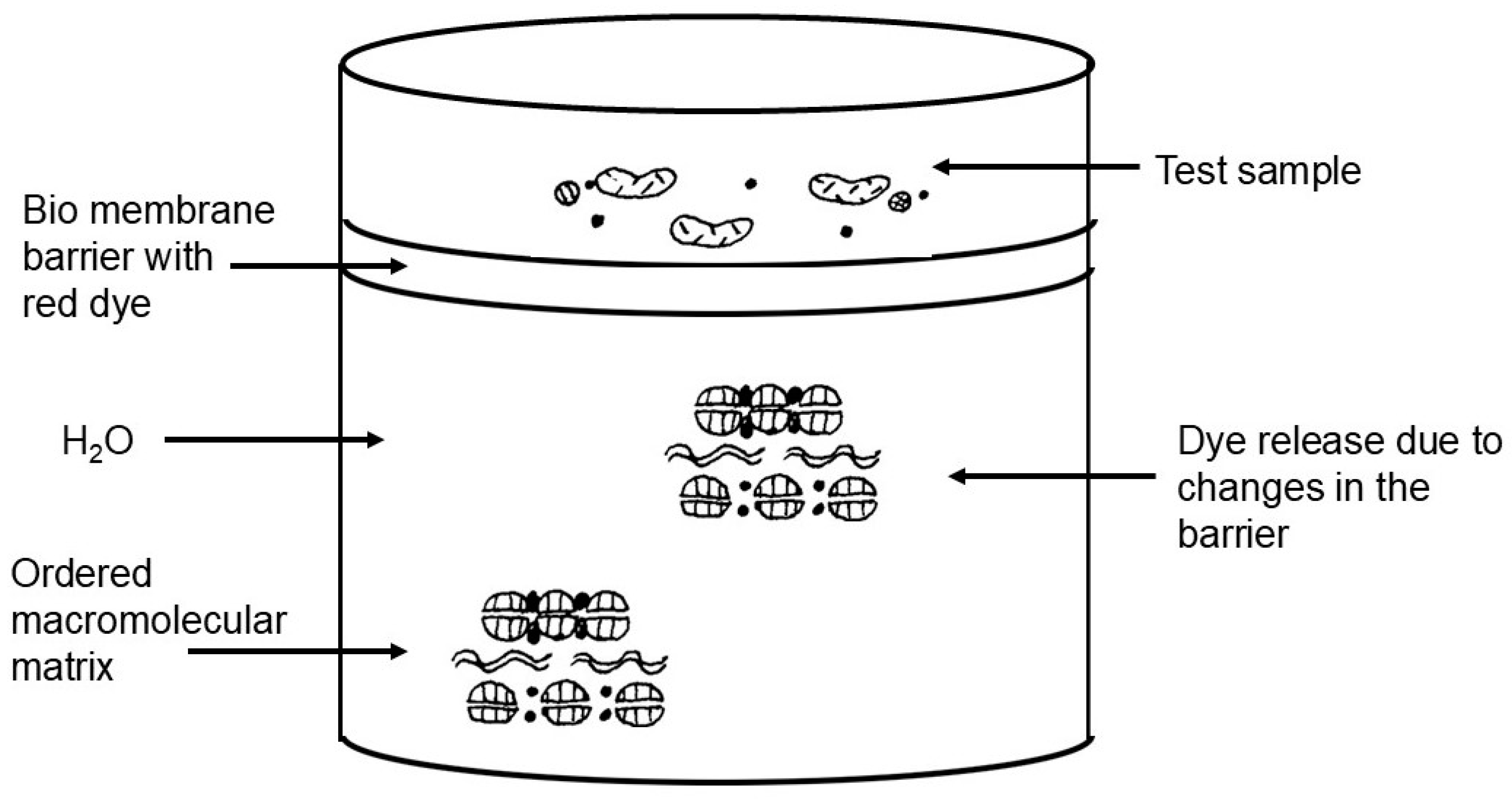 Cosmetics 12 00014 g014