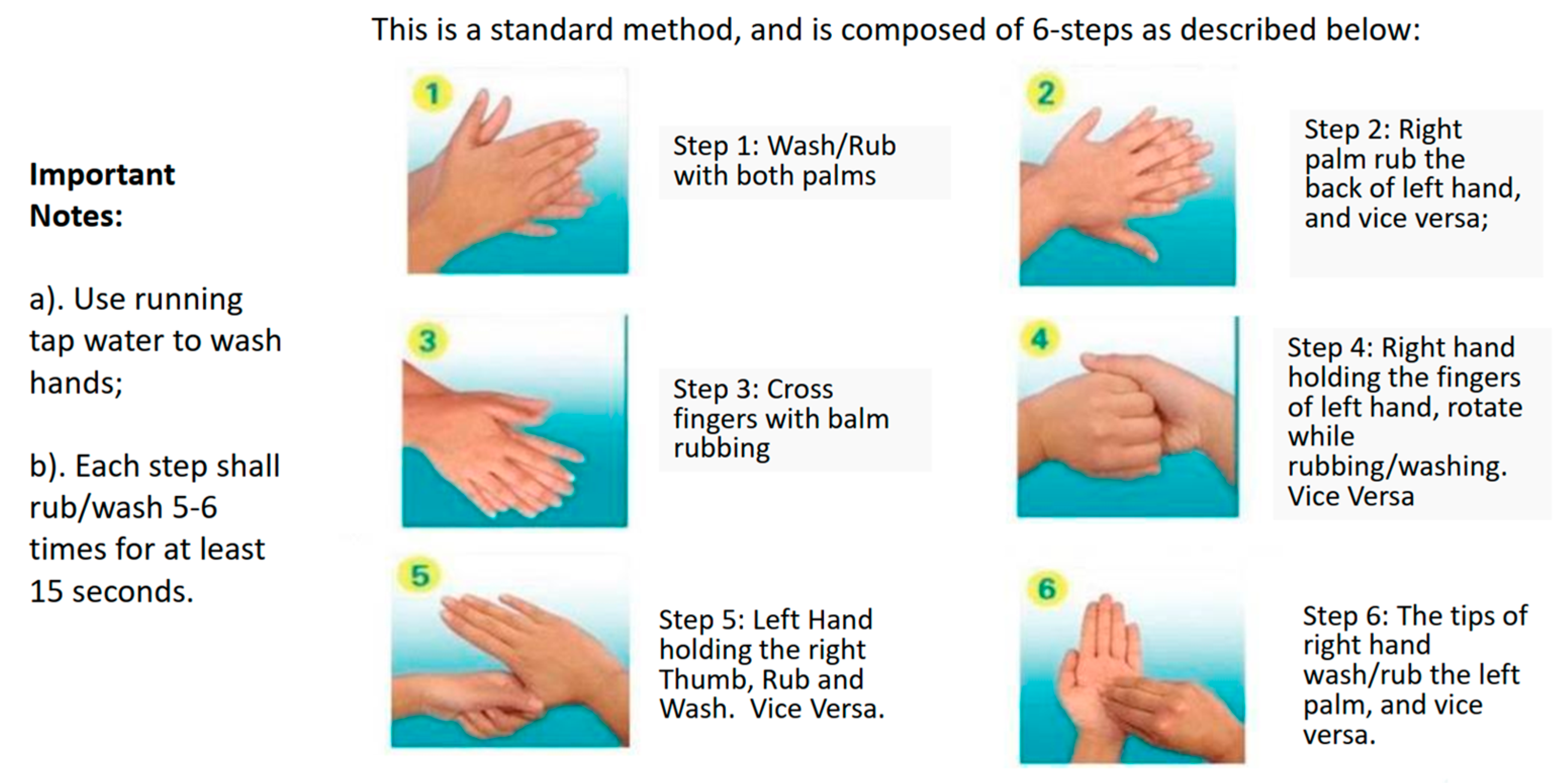 Cosmetics 12 00014 g016