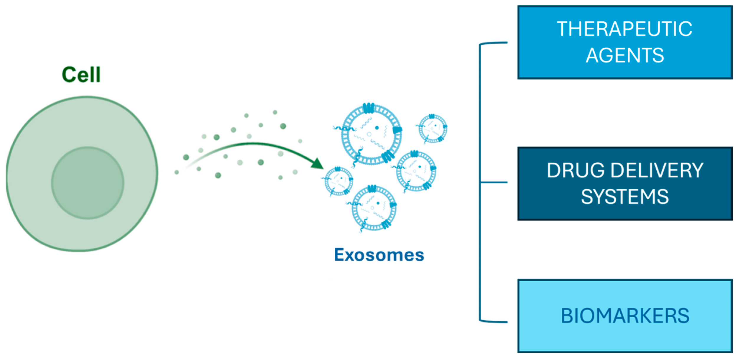 Cosmetics 12 00016 g001