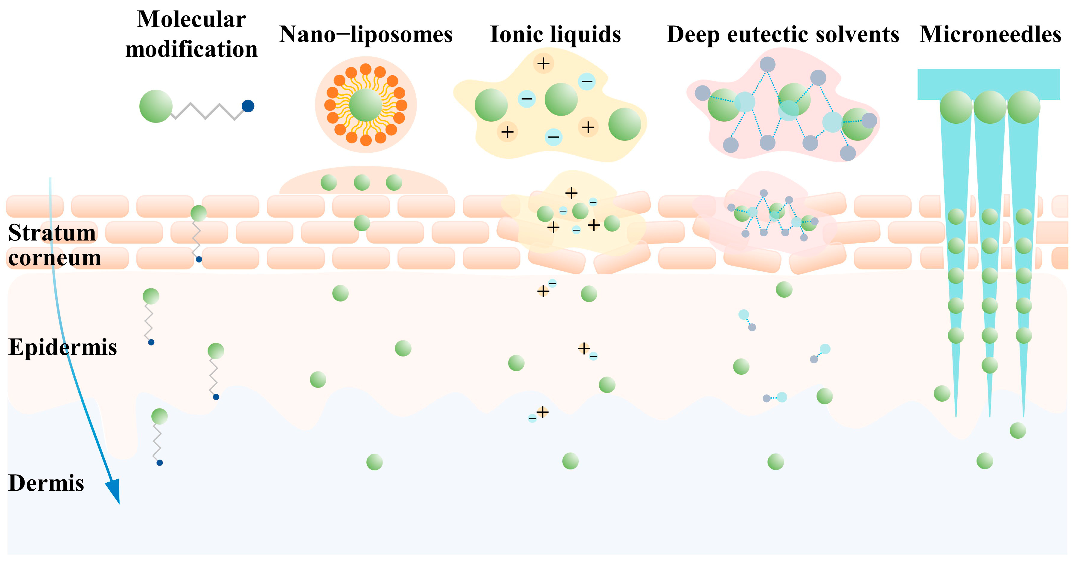 Cosmetics 12 00018 g002