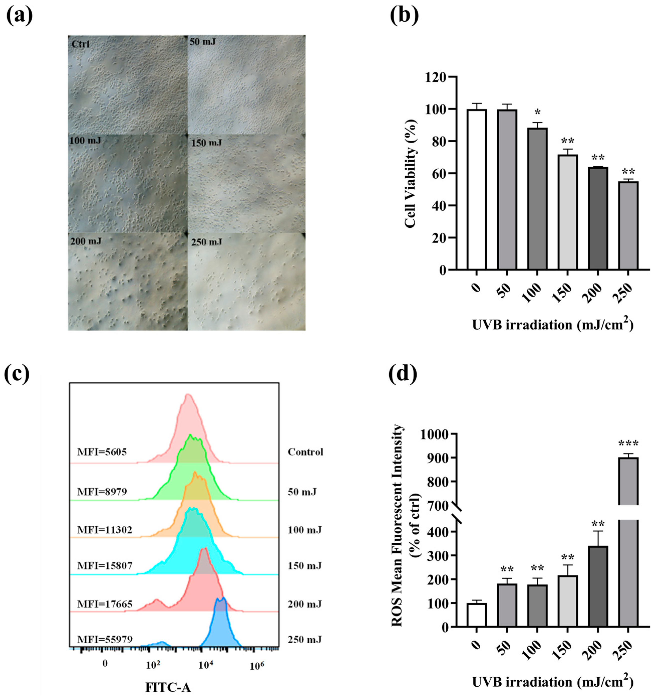 Cosmetics 12 00019 g002