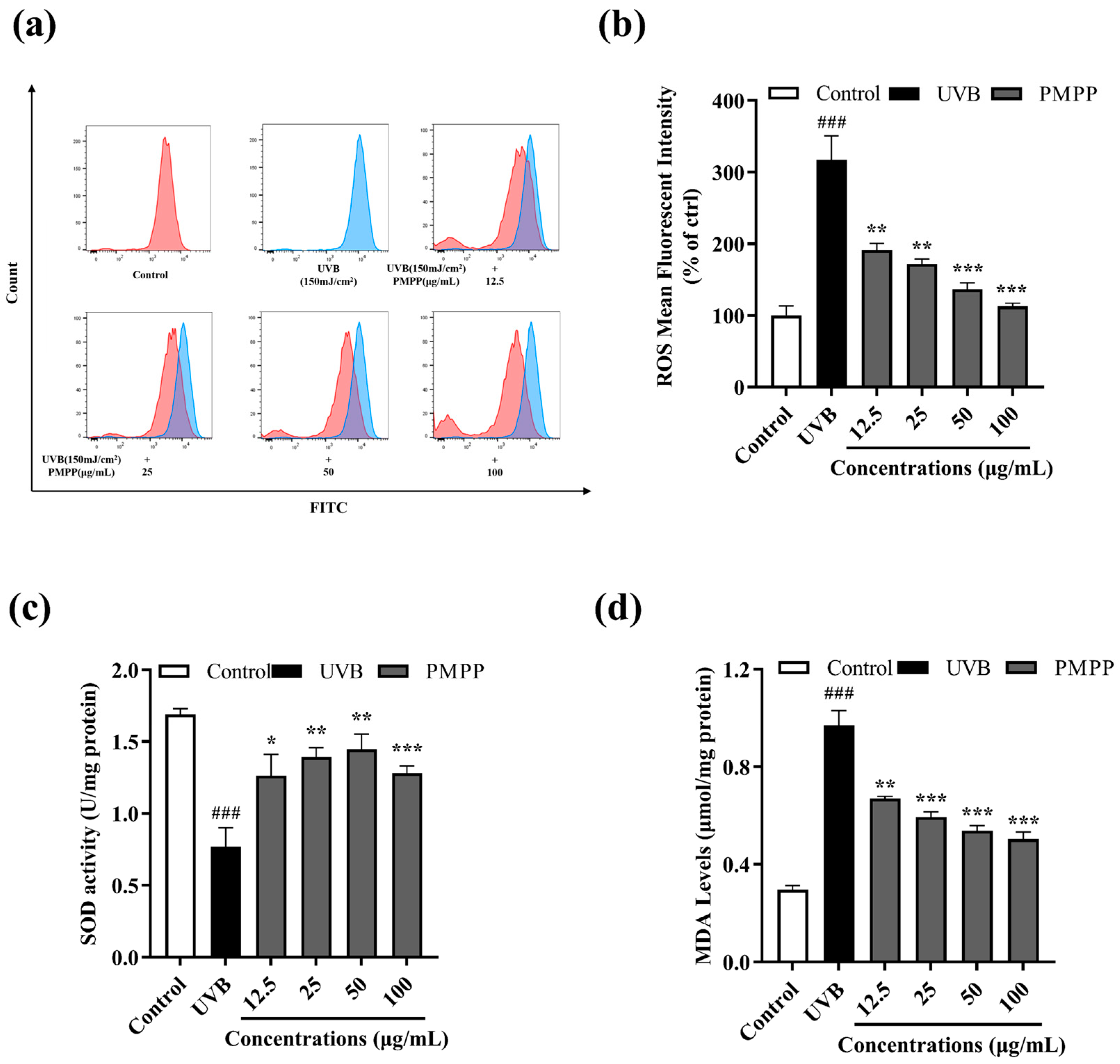Cosmetics 12 00019 g004