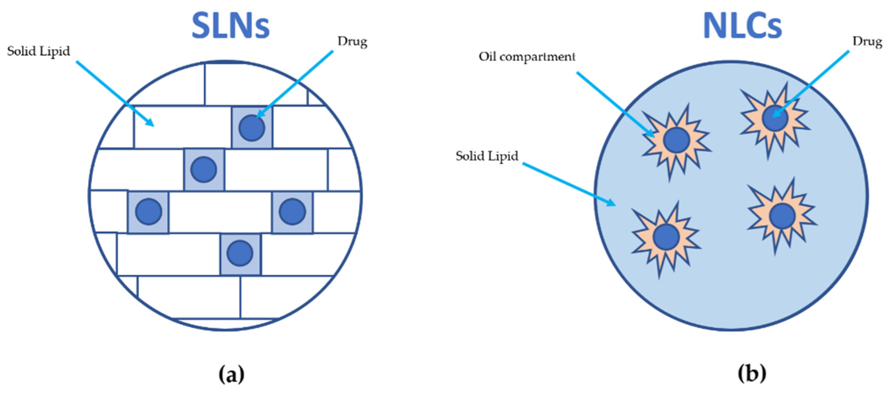 Cosmetics 12 00022 g001