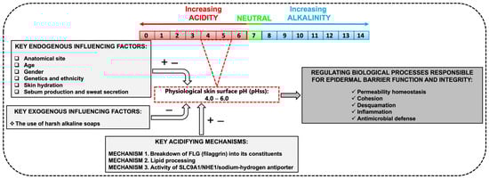 Cosmetics 12 00024 g001