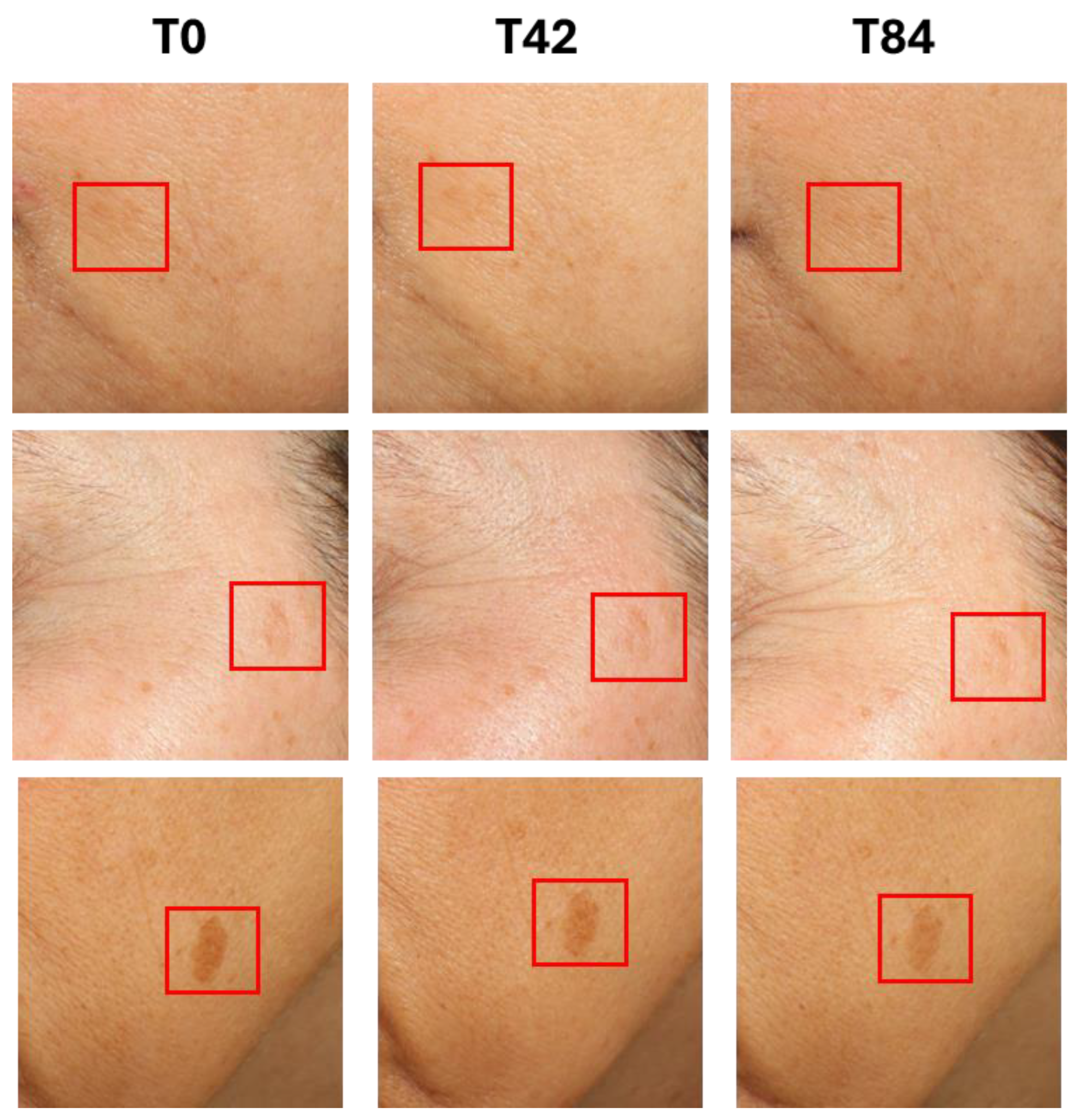 Cosmetics 12 00027 g003