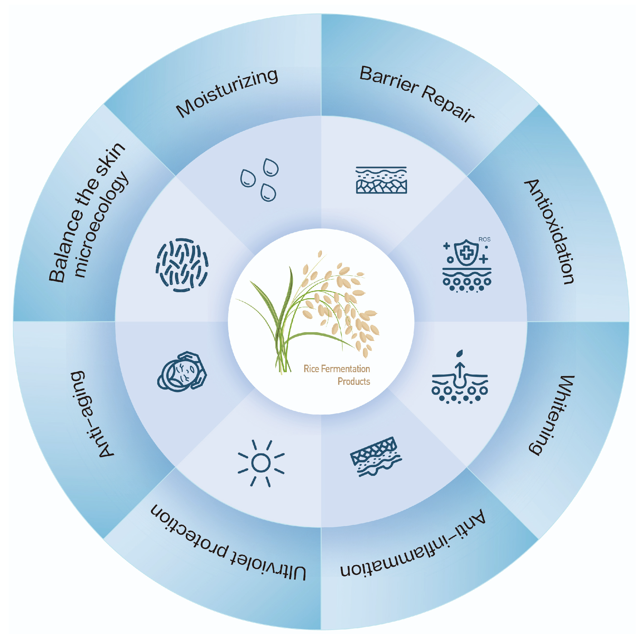 Cosmetics 12 00029 g003