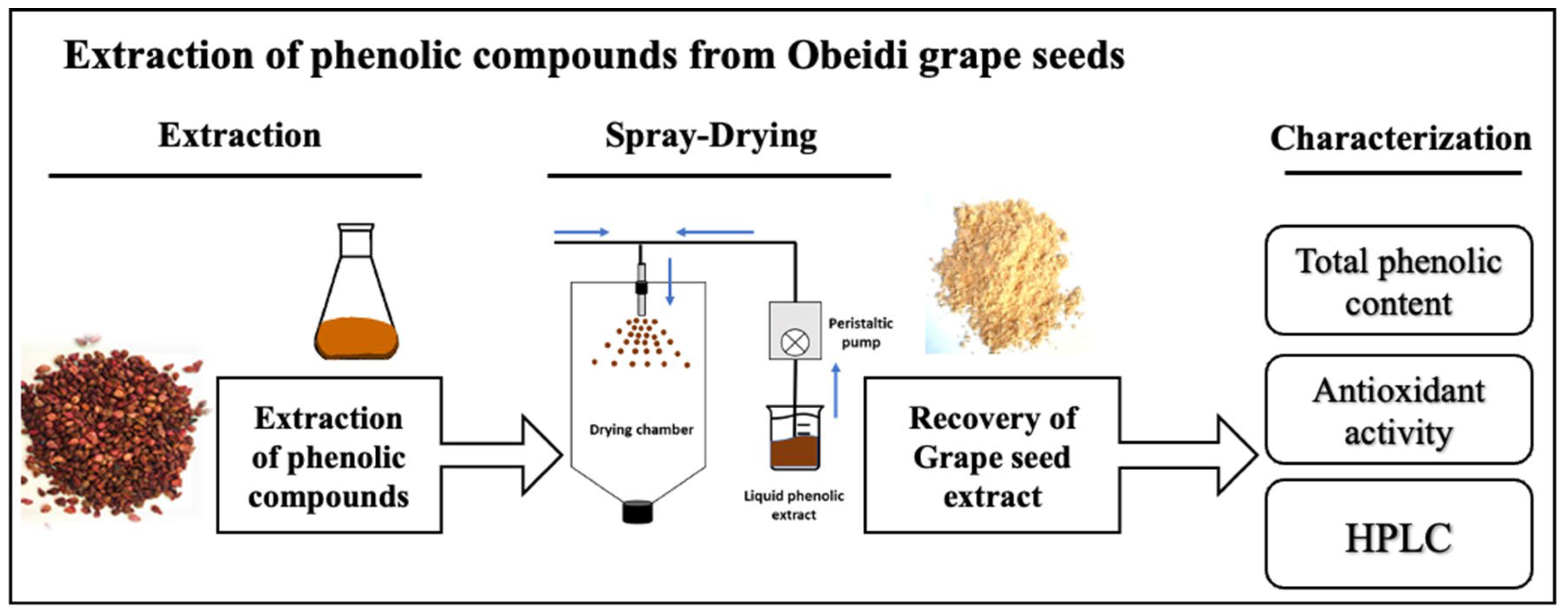 Cosmetics 12 00038 g001