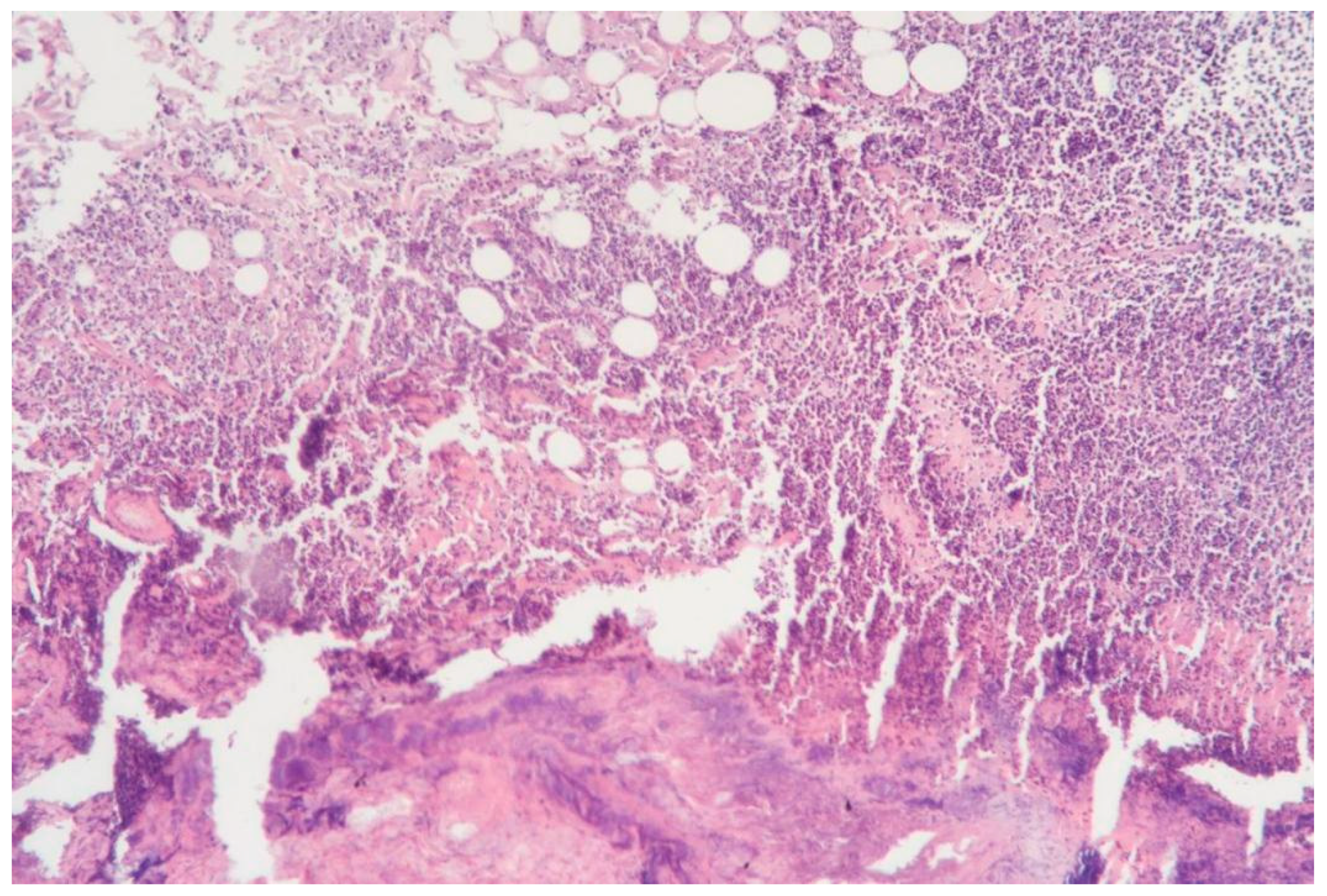 Cosmetics 12 00039 g002